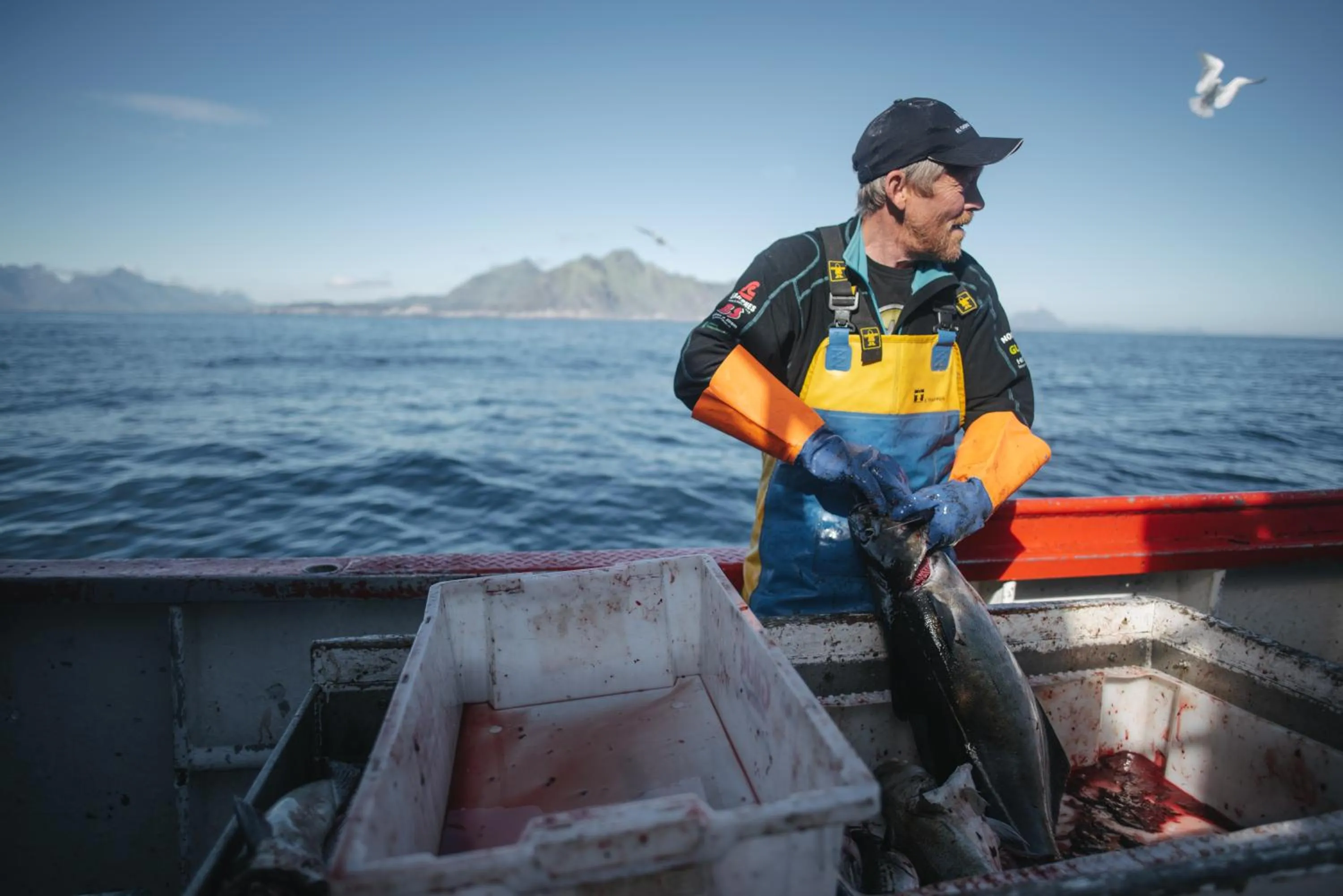 Off site in Hattvika Lodge