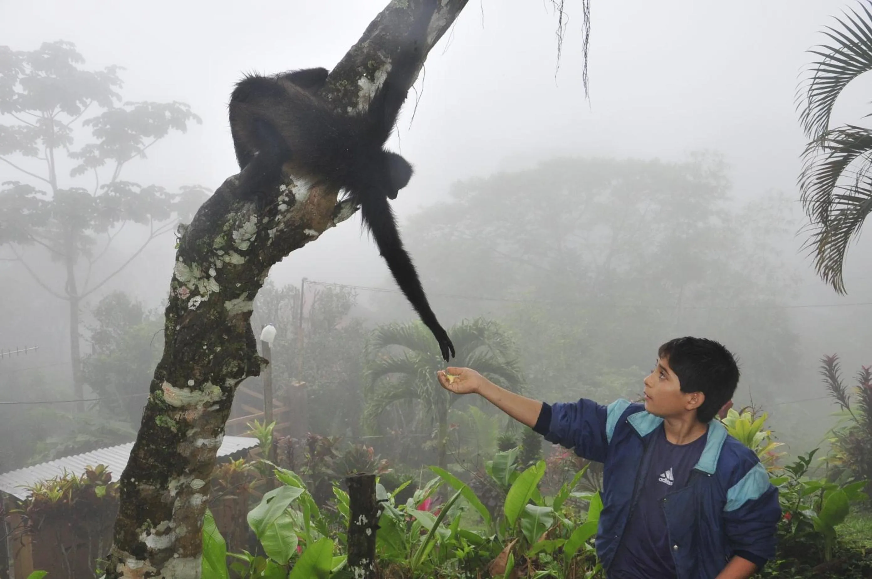 Cabañas Ecobiosfera