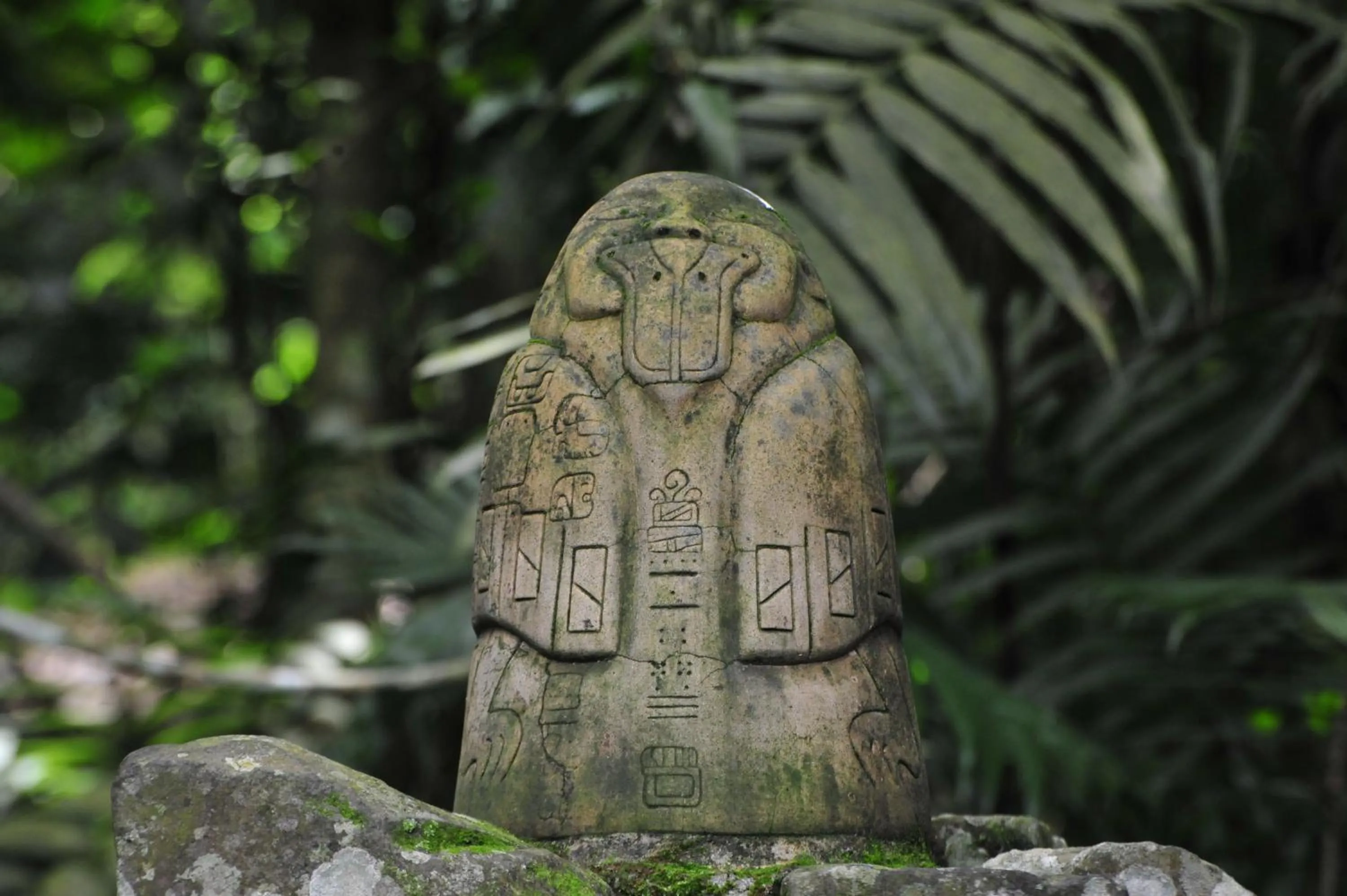 Cabañas Ecobiosfera