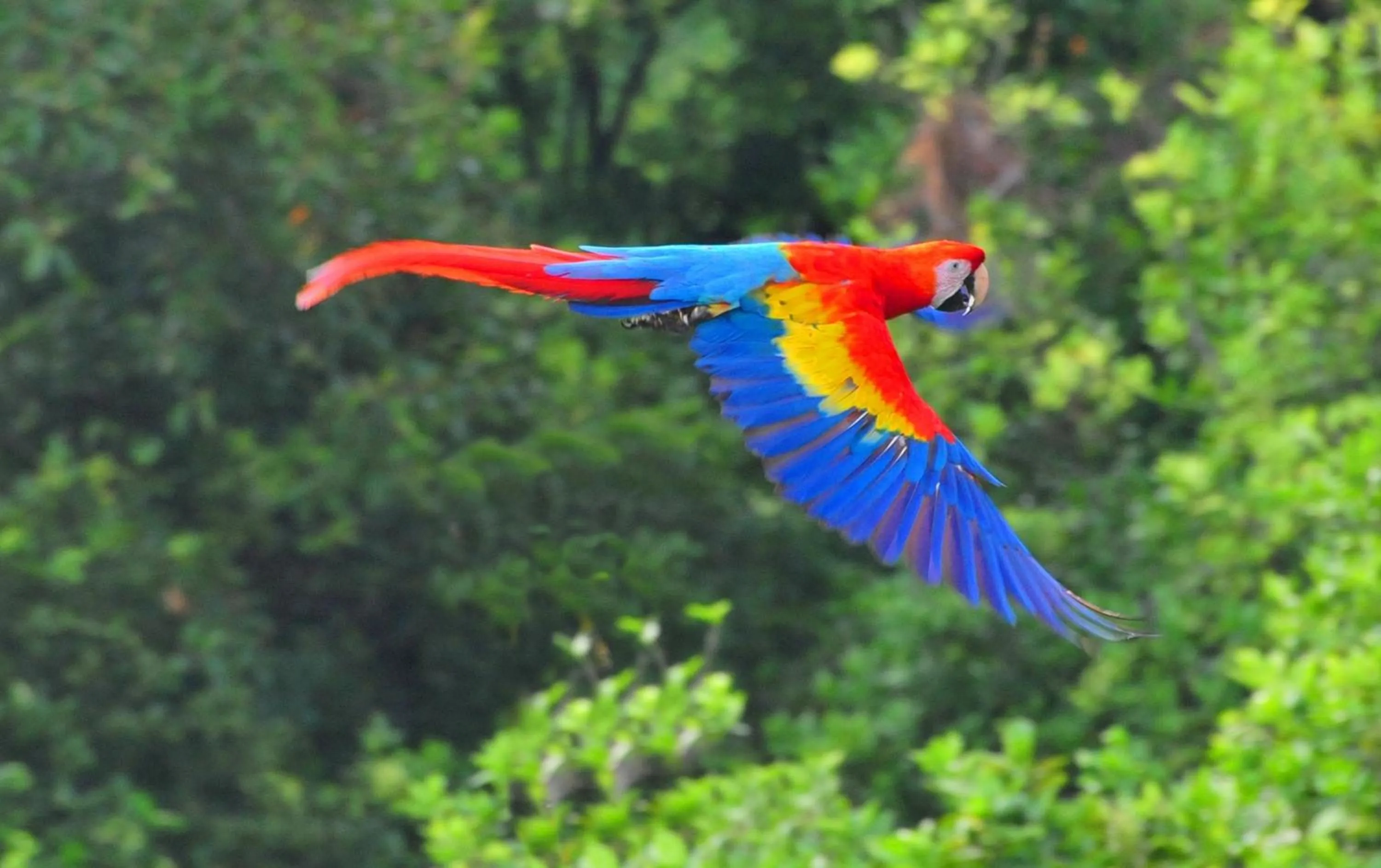 Cabañas Ecobiosfera