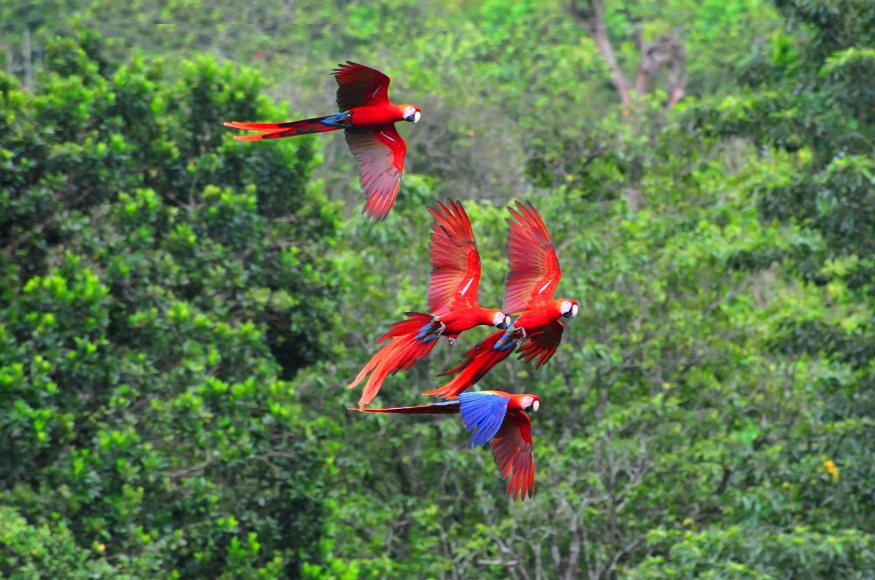 Cabañas Ecobiosfera