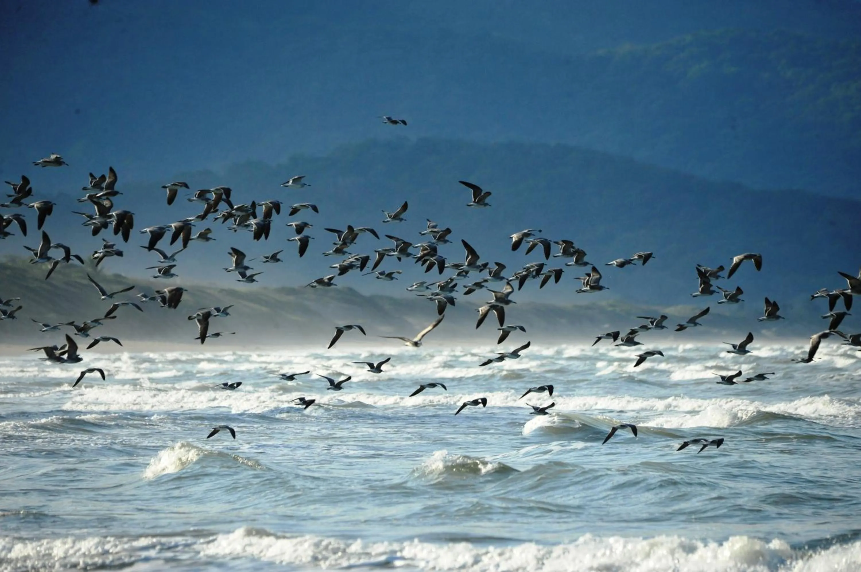 Cabañas Ecobiosfera