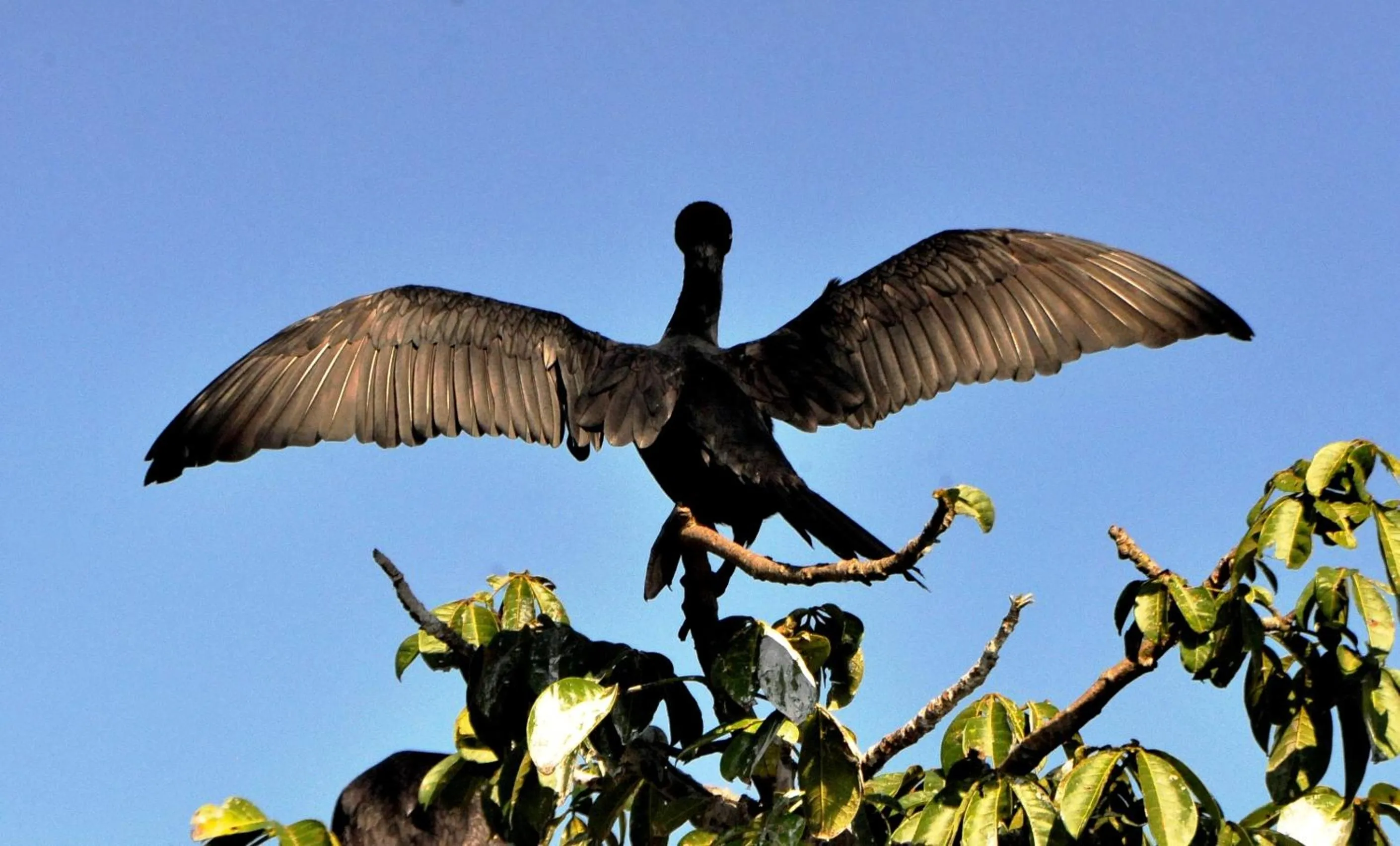 Cabañas Ecobiosfera