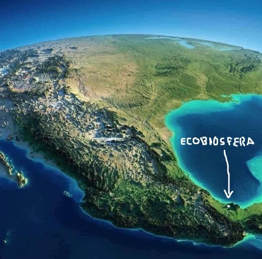 Cabañas Ecobiosfera