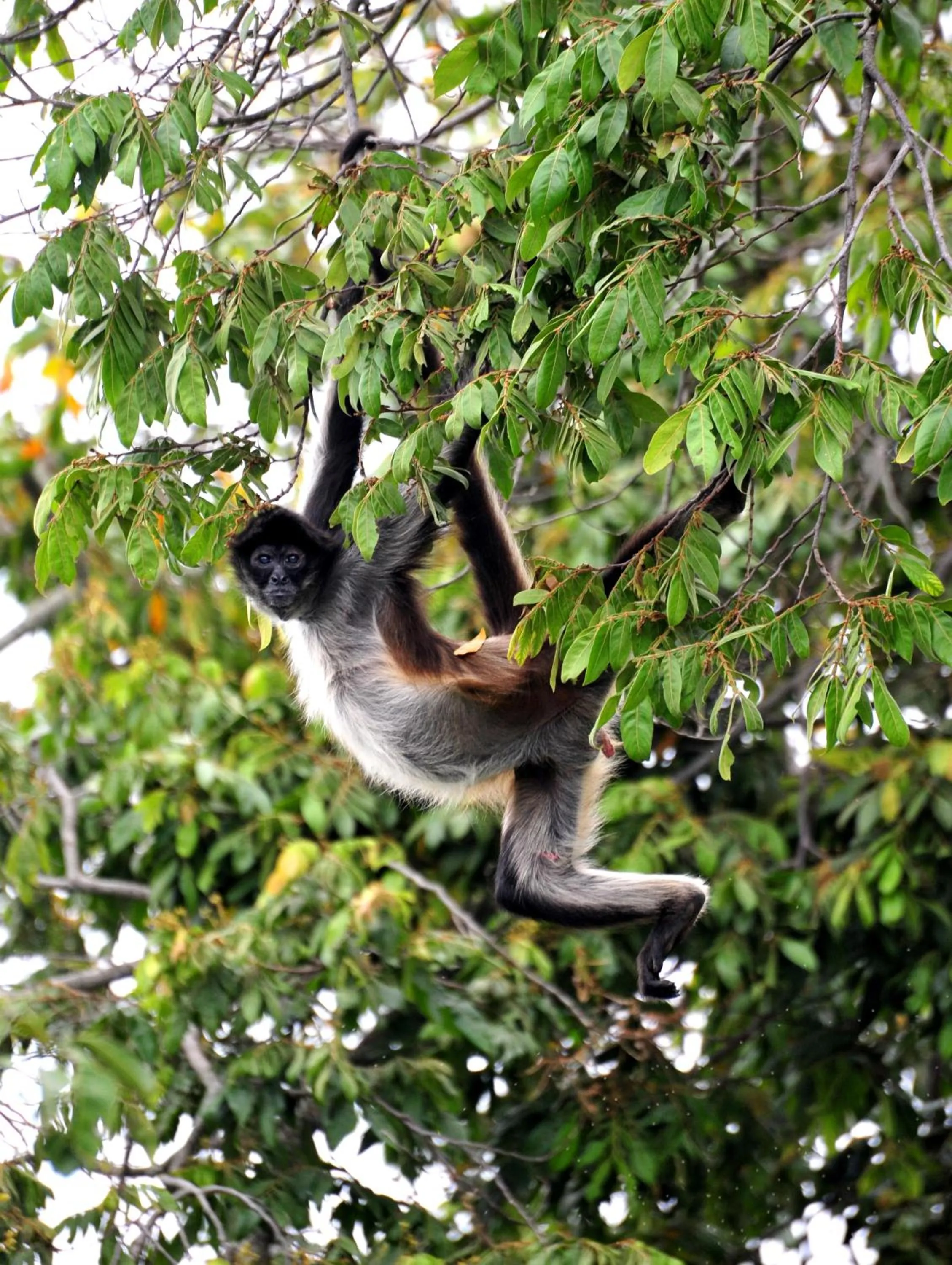 Cabañas Ecobiosfera