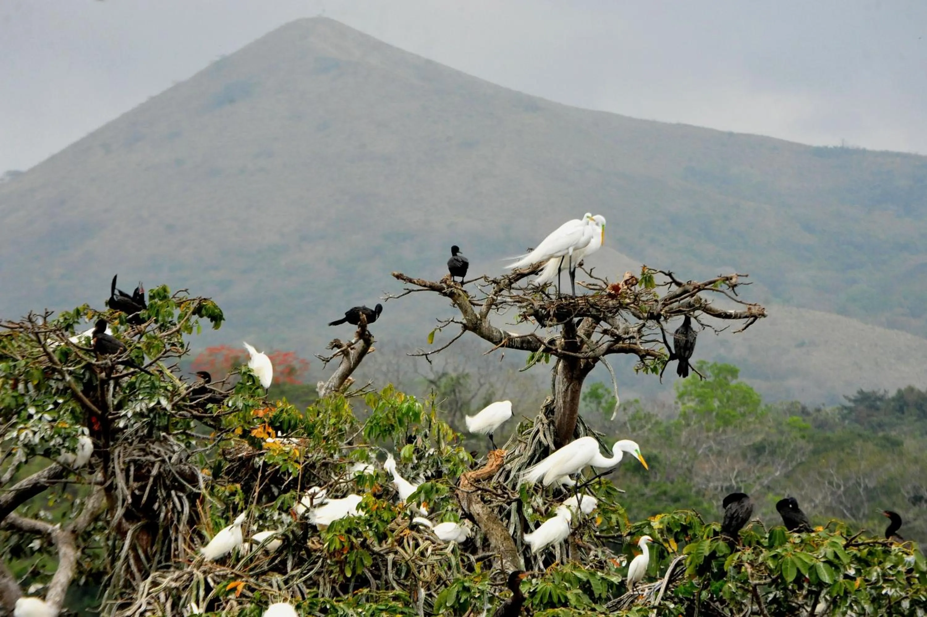 Cabañas Ecobiosfera