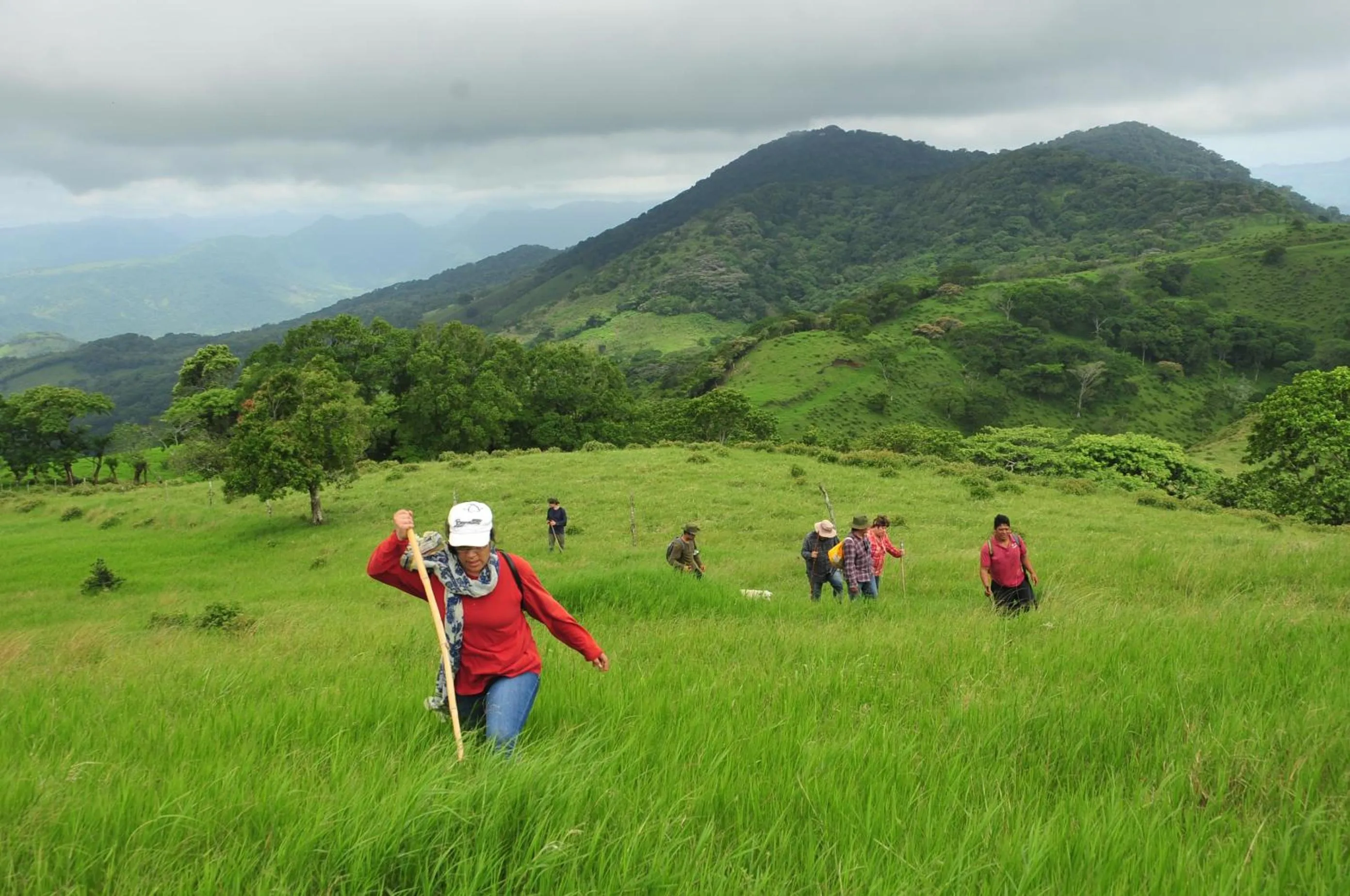 Cabañas Ecobiosfera