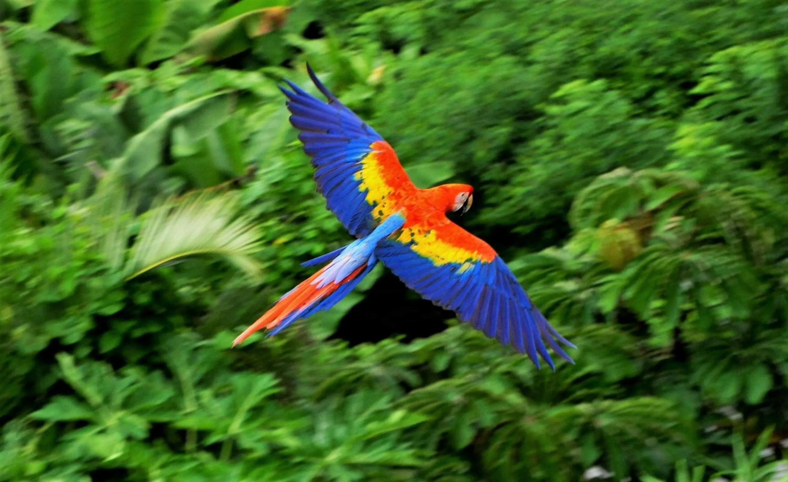 Cabañas Ecobiosfera