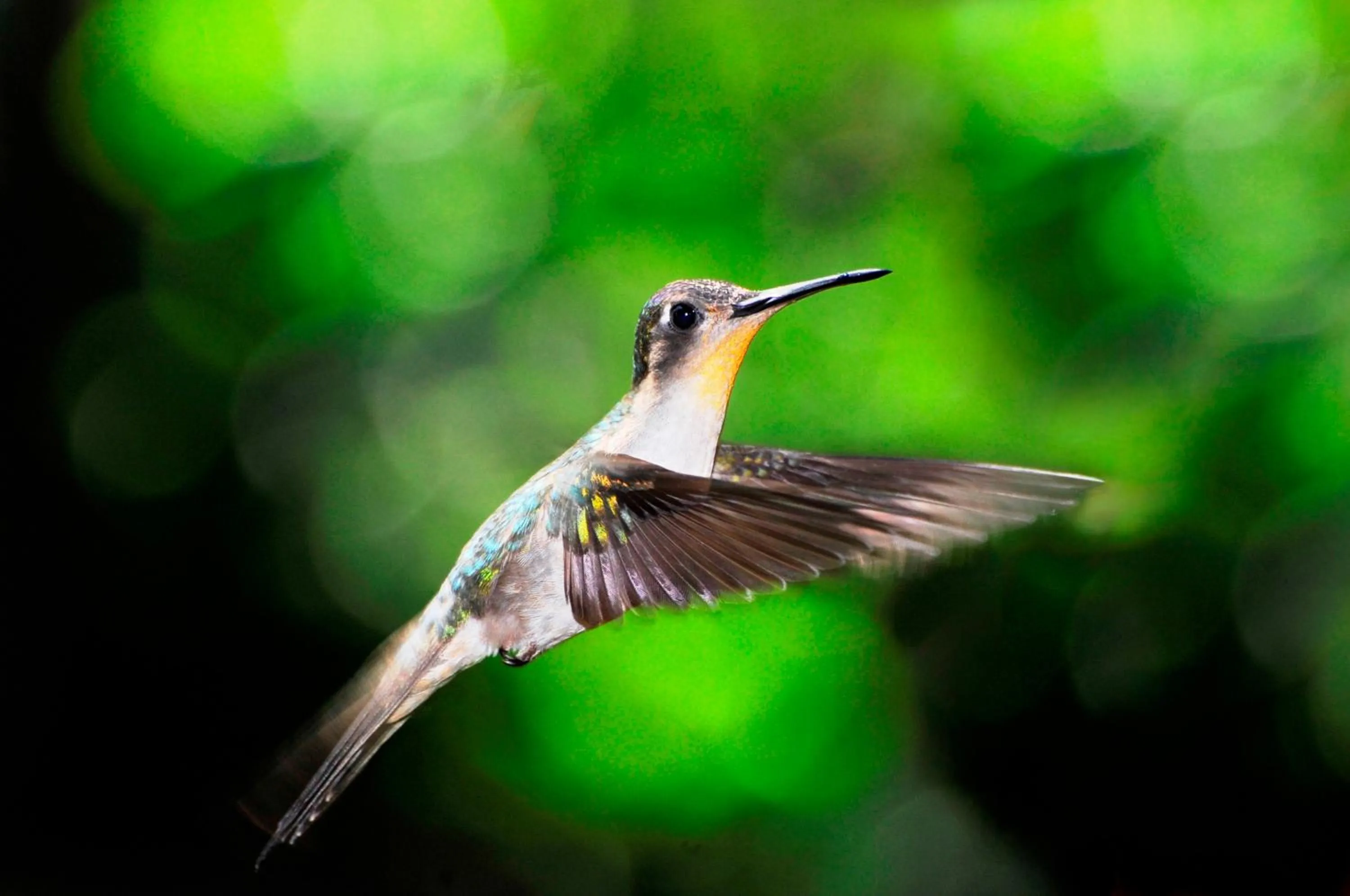 Cabañas Ecobiosfera
