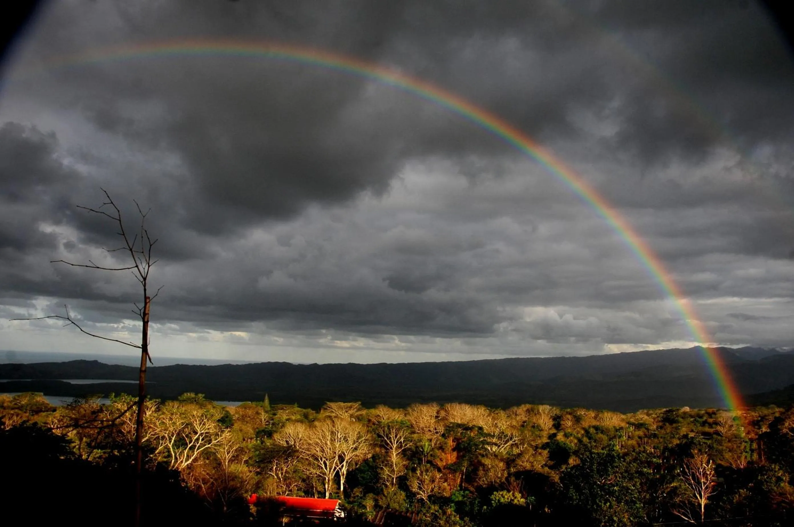 Cabañas Ecobiosfera