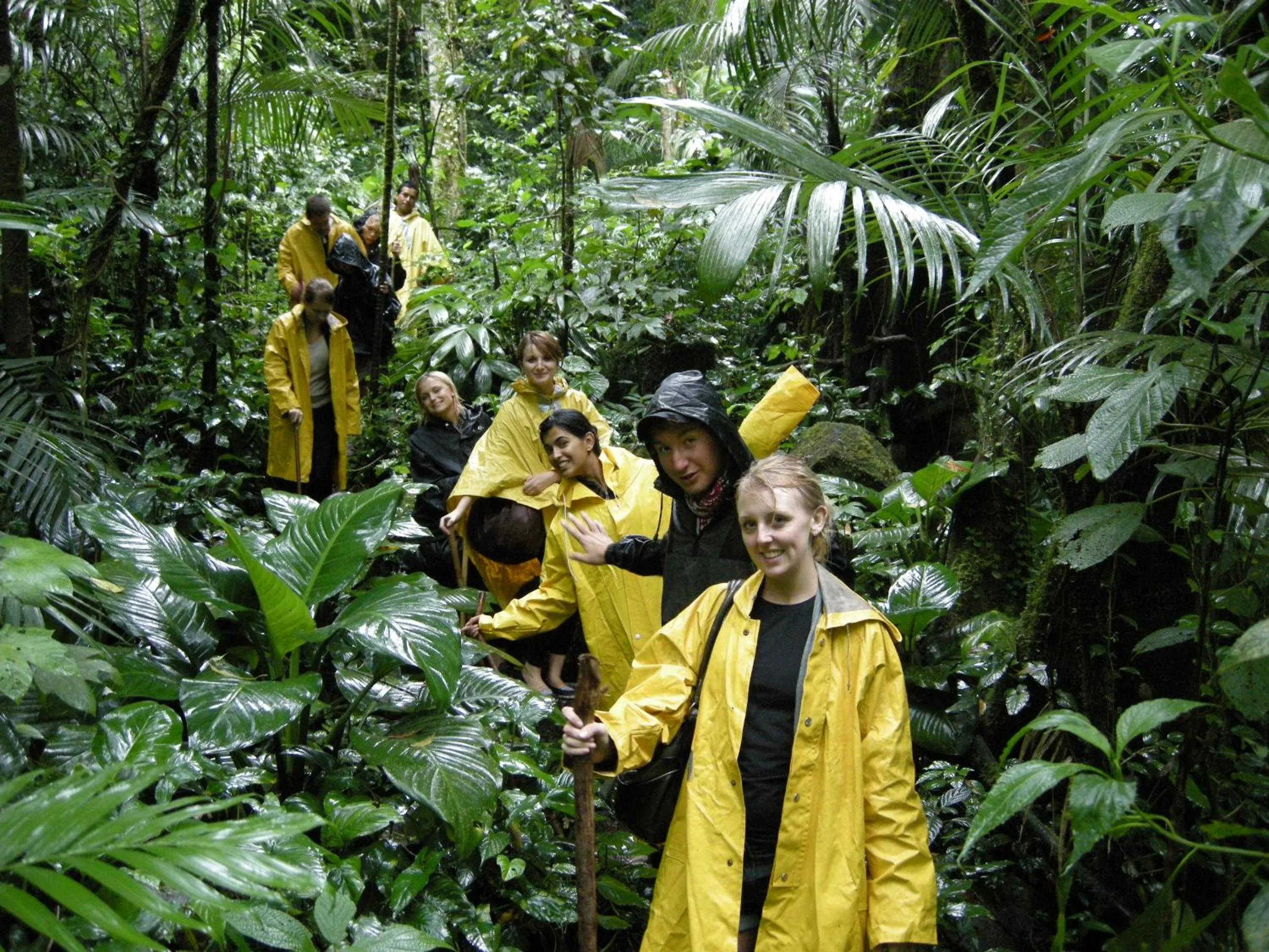 Cabañas Ecobiosfera