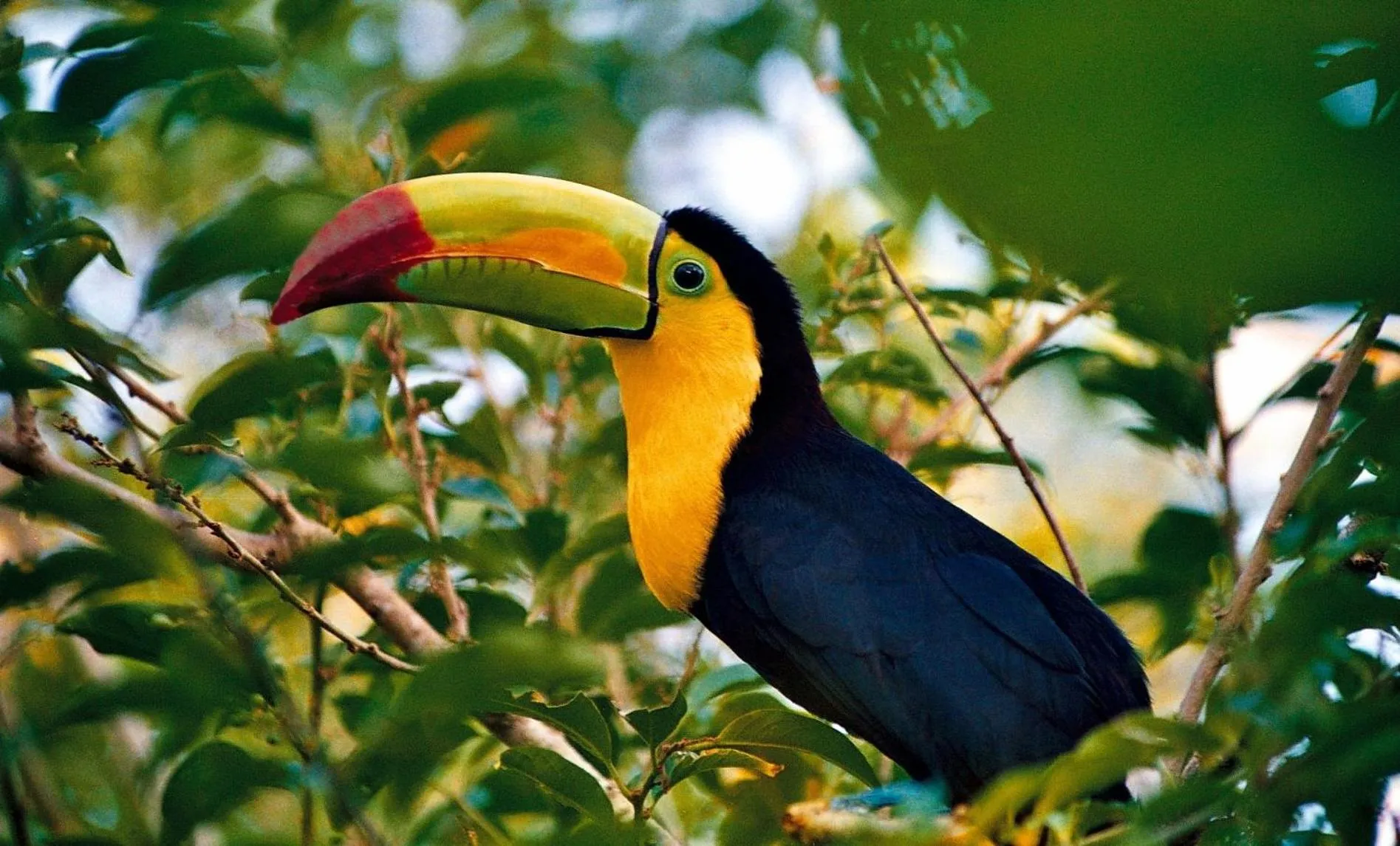 Cabañas Ecobiosfera