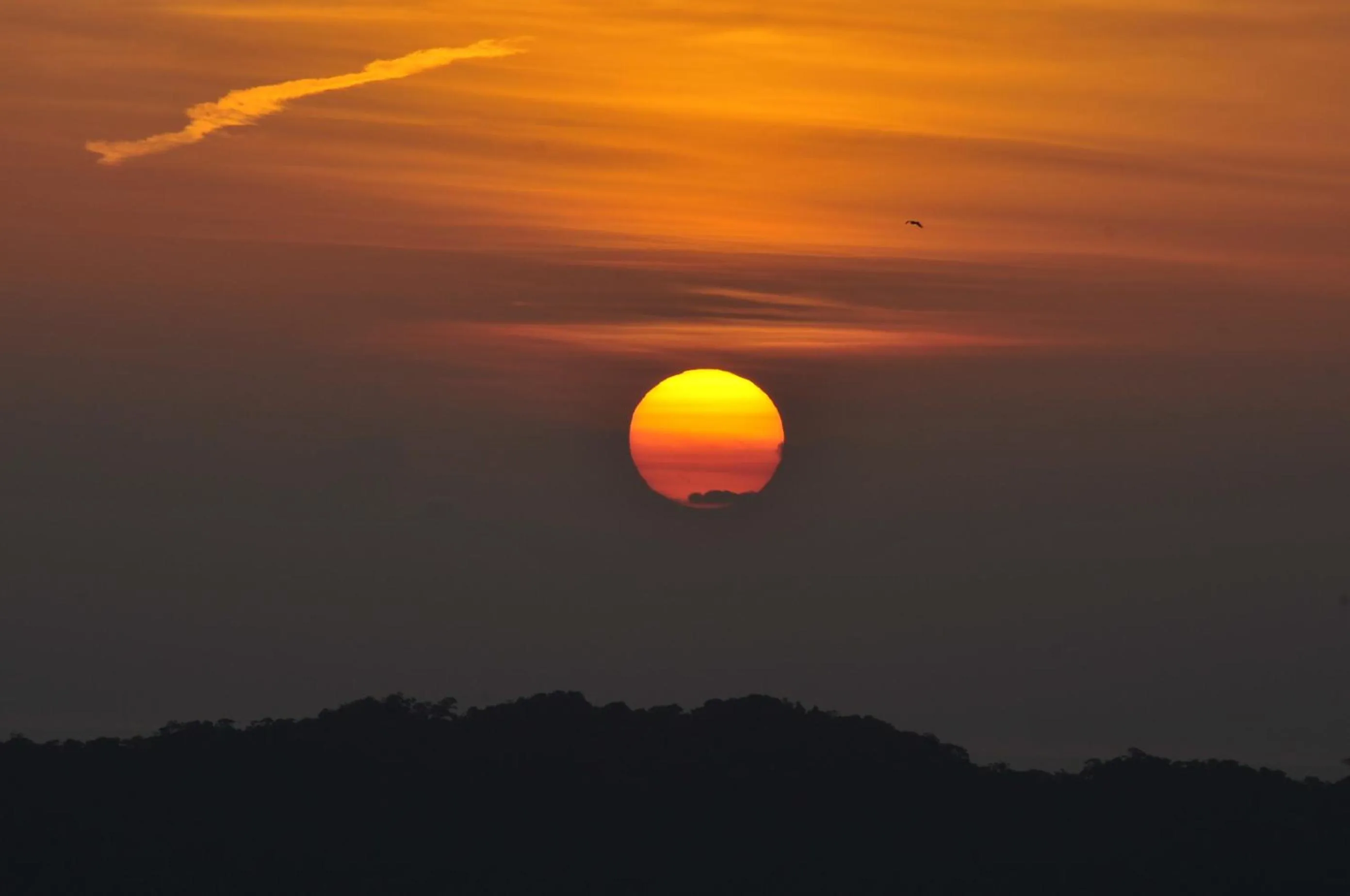 Cabañas Ecobiosfera