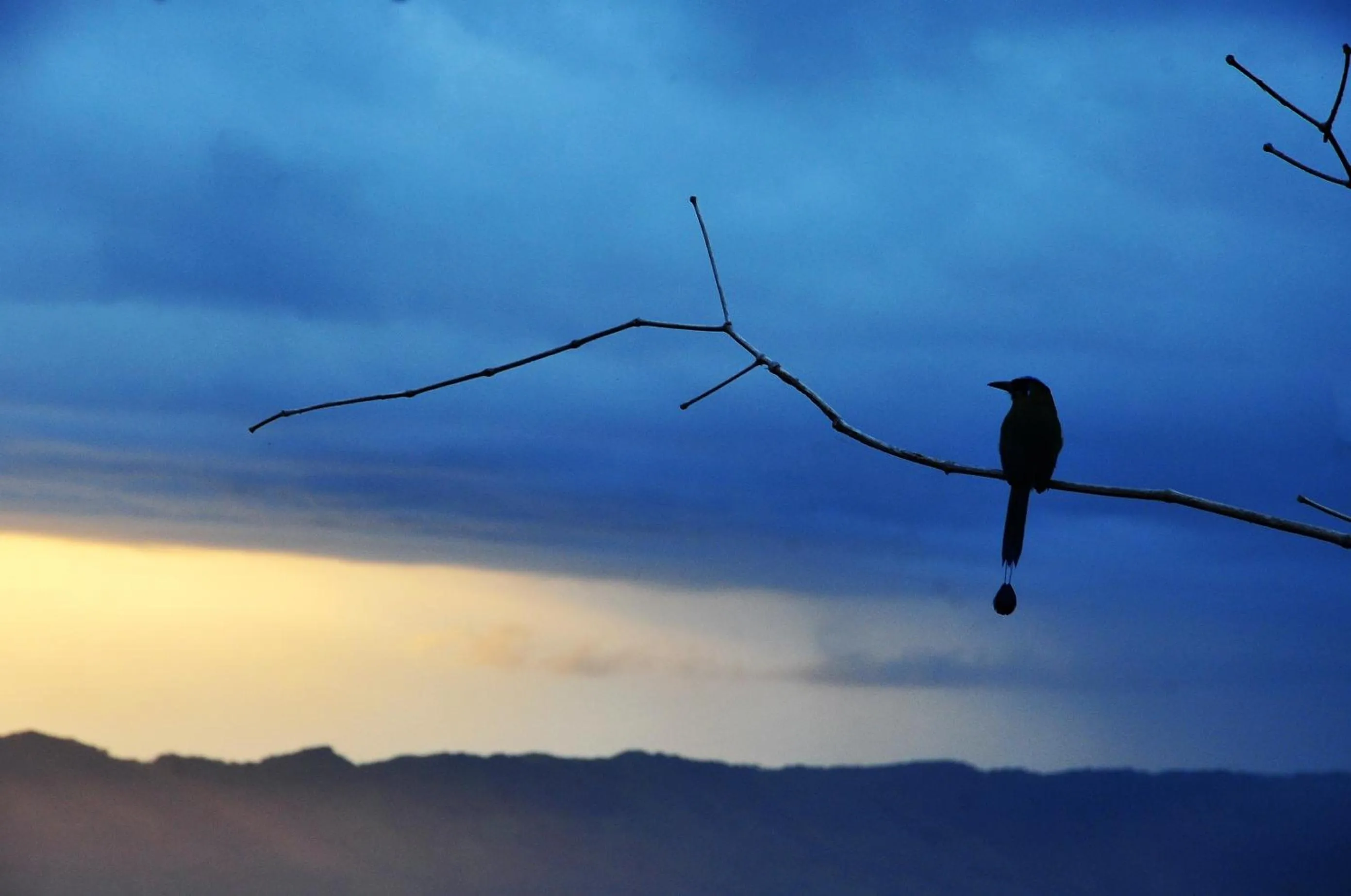 Cabañas Ecobiosfera