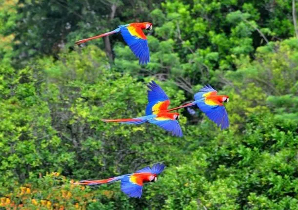 Cabañas Ecobiosfera