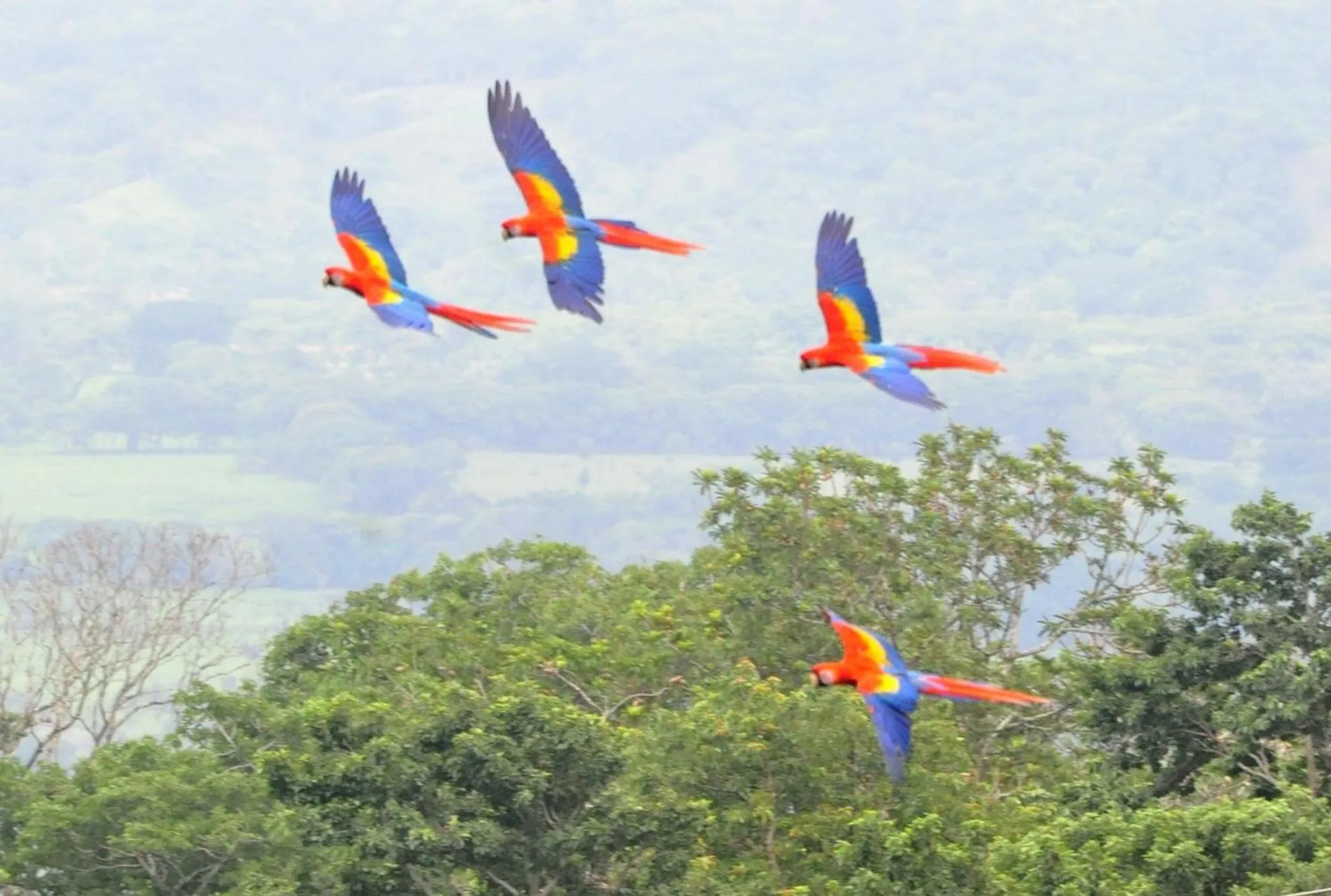 Cabañas Ecobiosfera