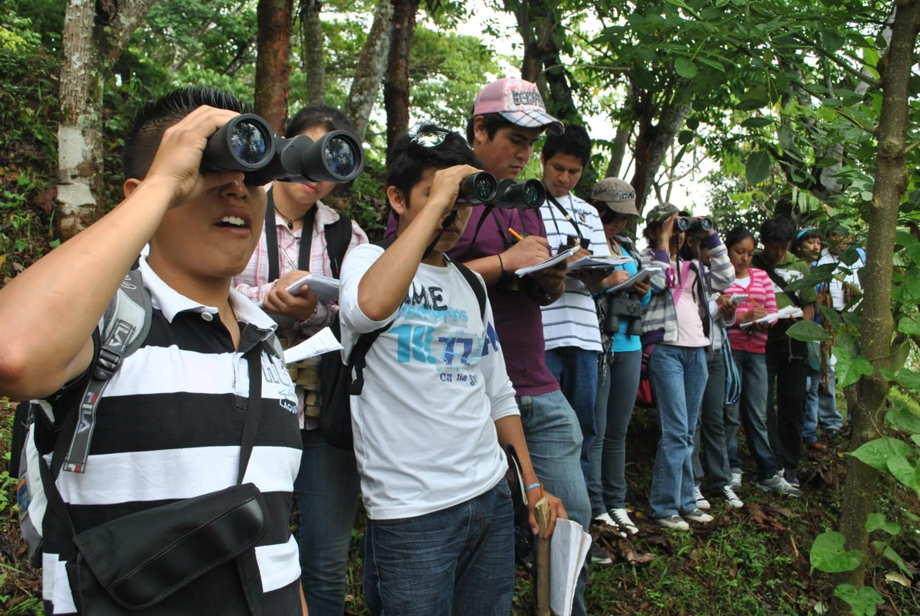 Cabañas Ecobiosfera