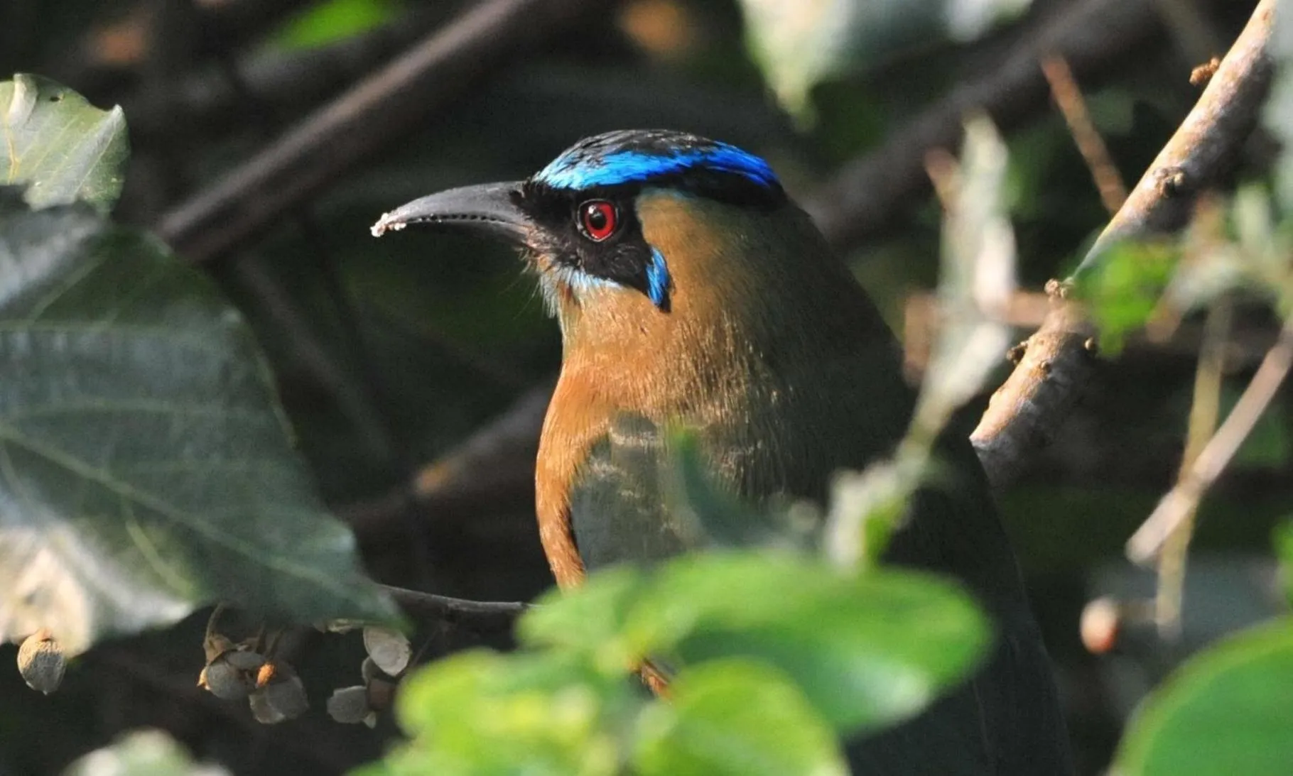 Cabañas Ecobiosfera