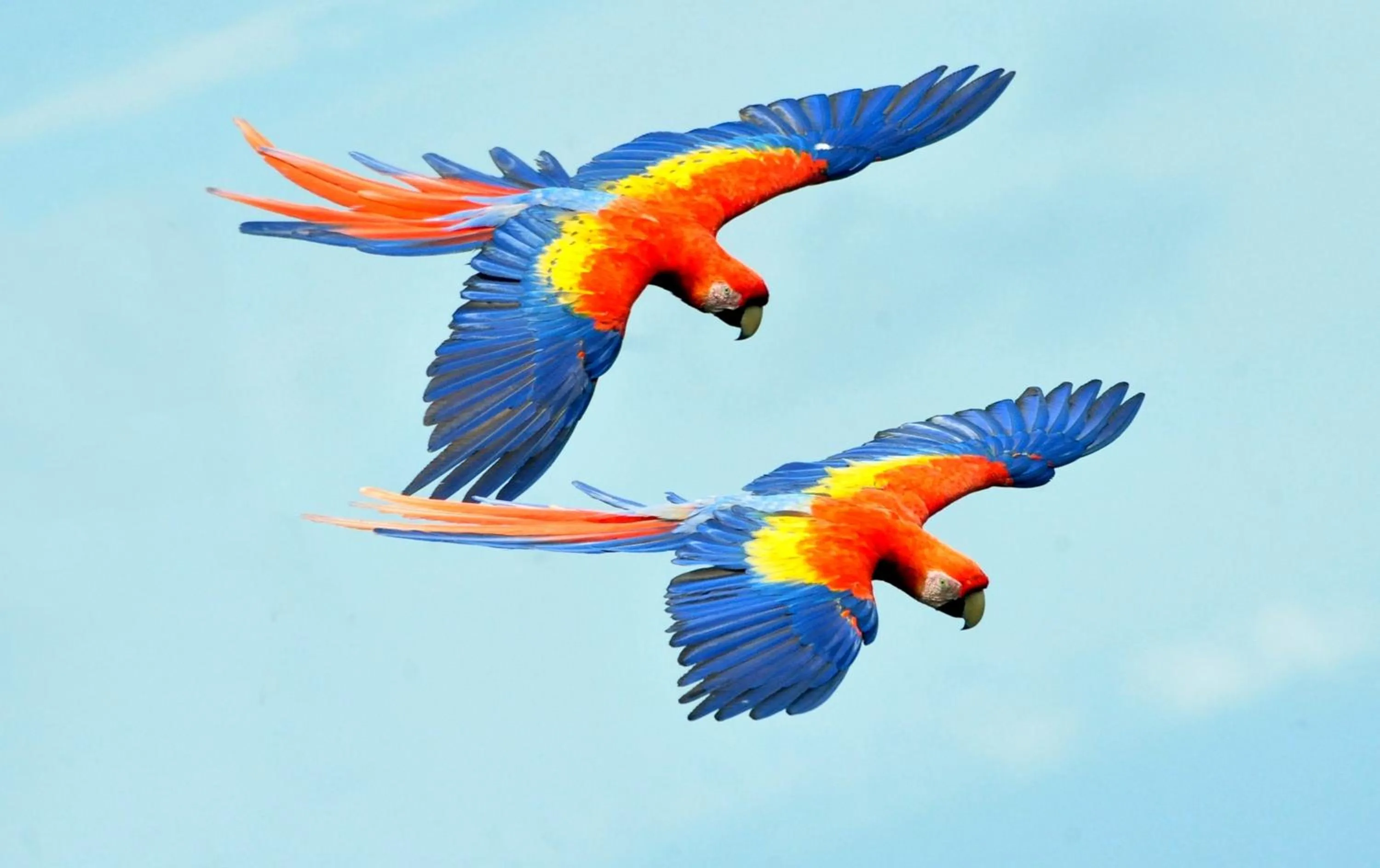 Cabañas Ecobiosfera