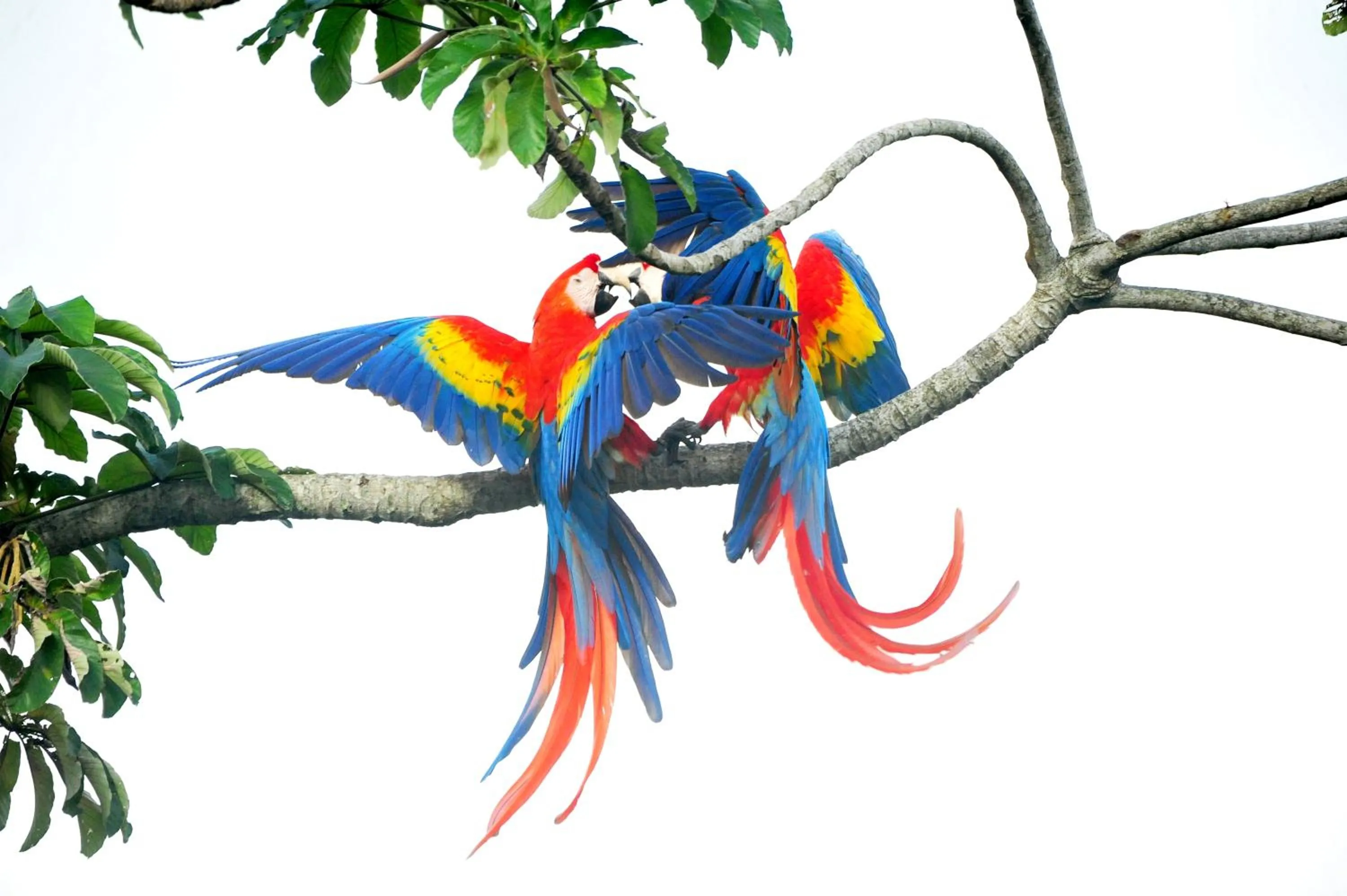 Cabañas Ecobiosfera