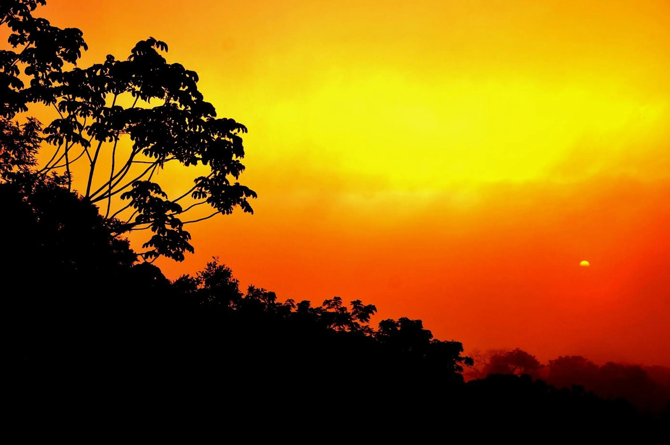 Cabañas Ecobiosfera