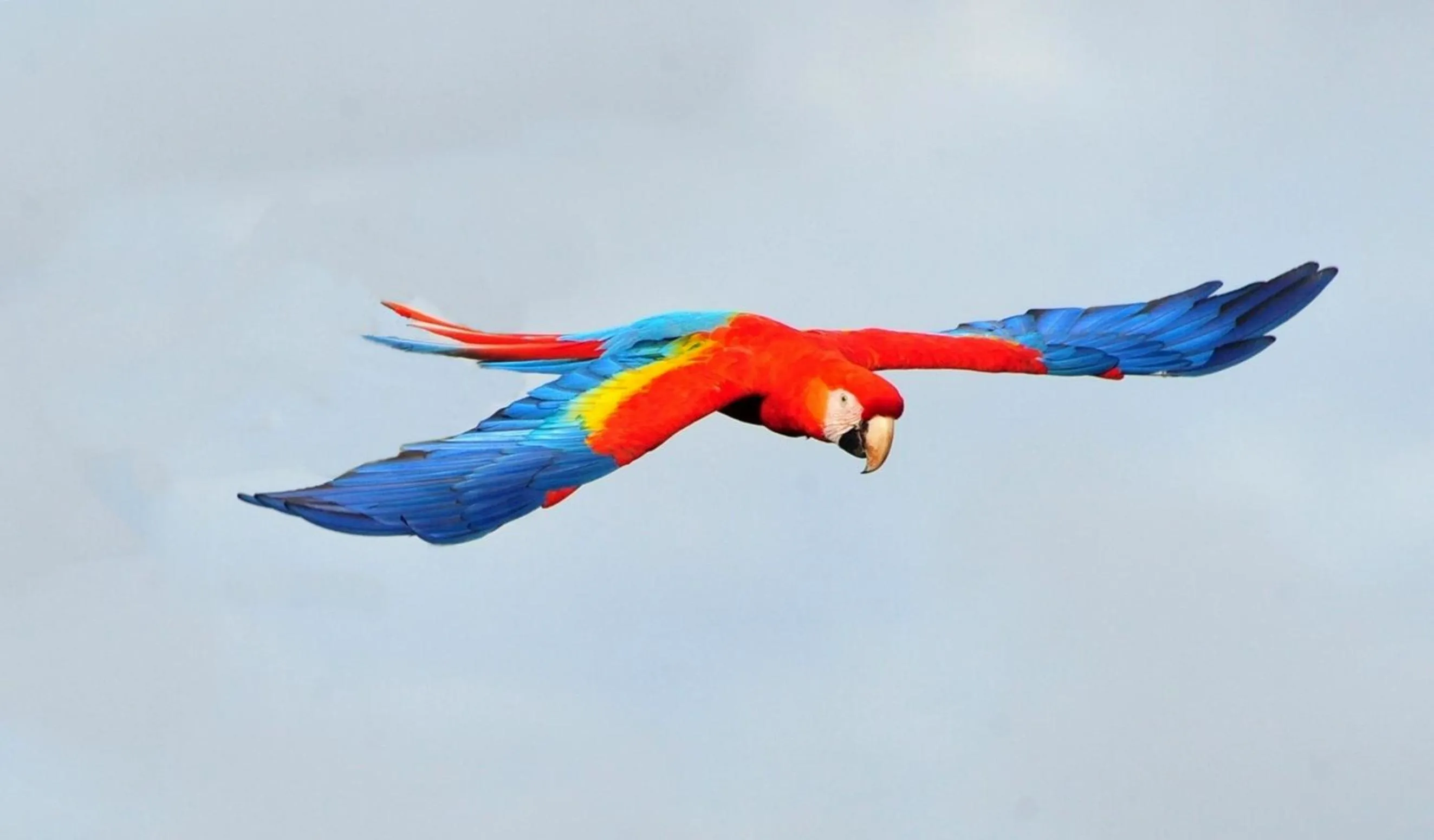 Cabañas Ecobiosfera