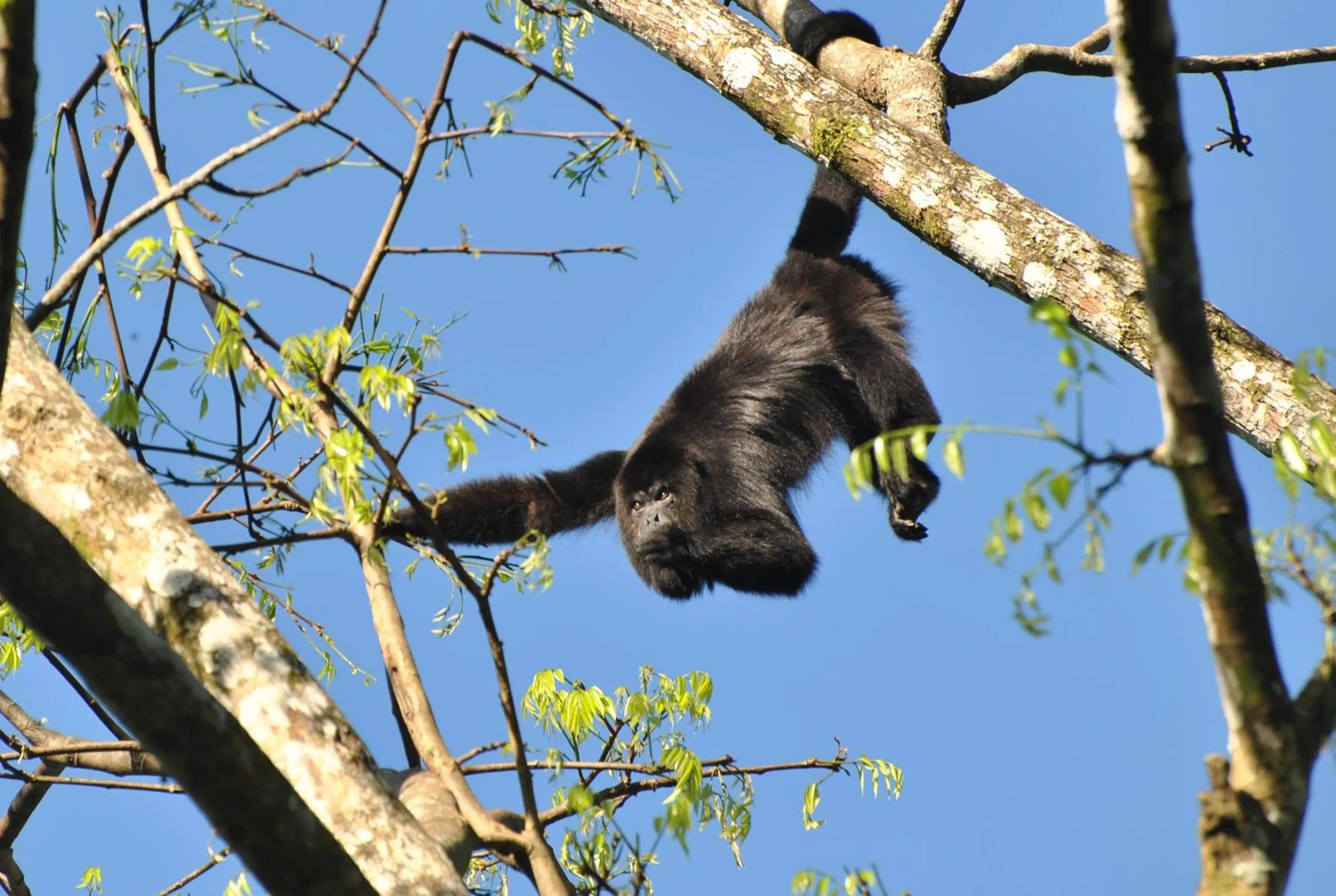 Cabañas Ecobiosfera