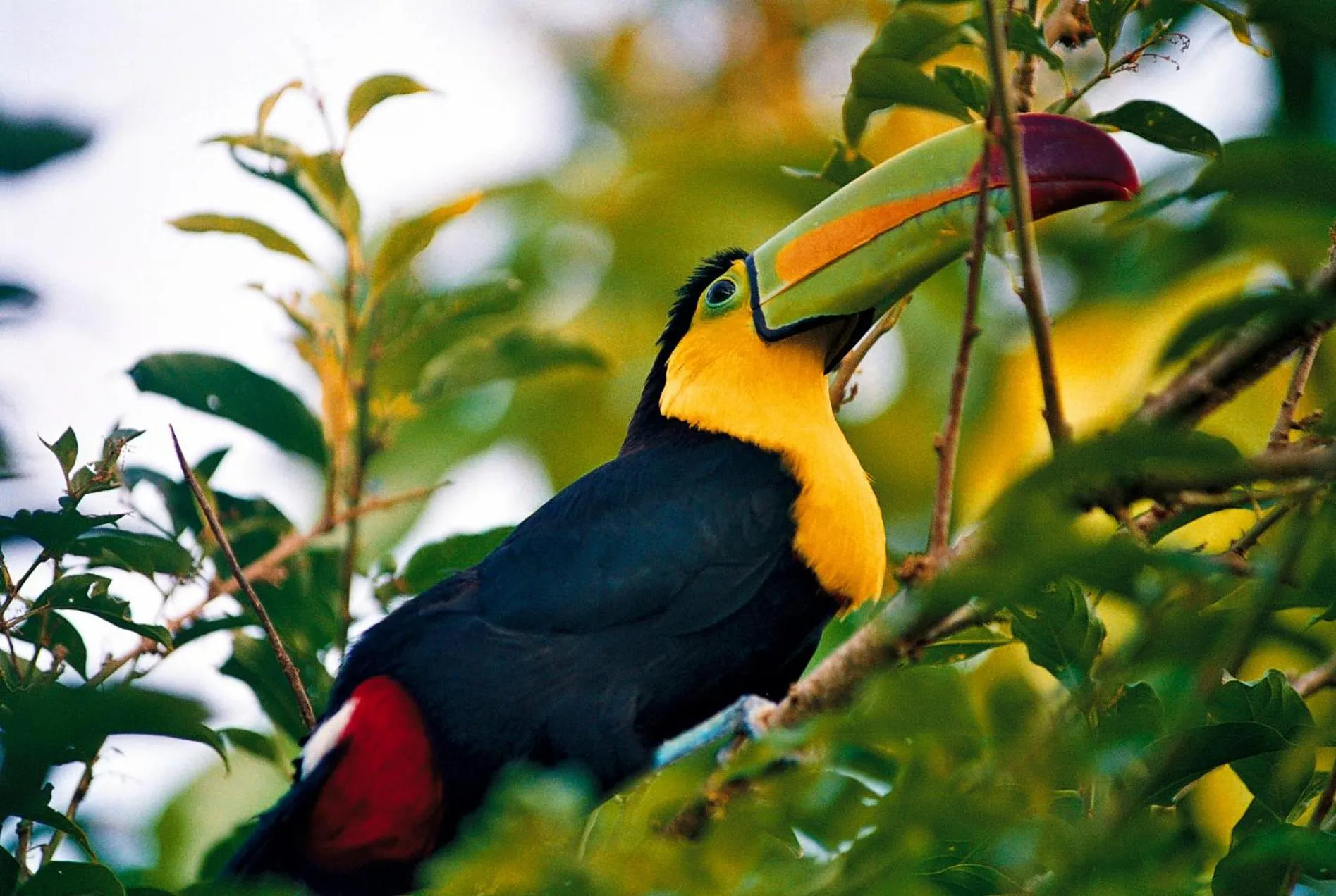 Cabañas Ecobiosfera