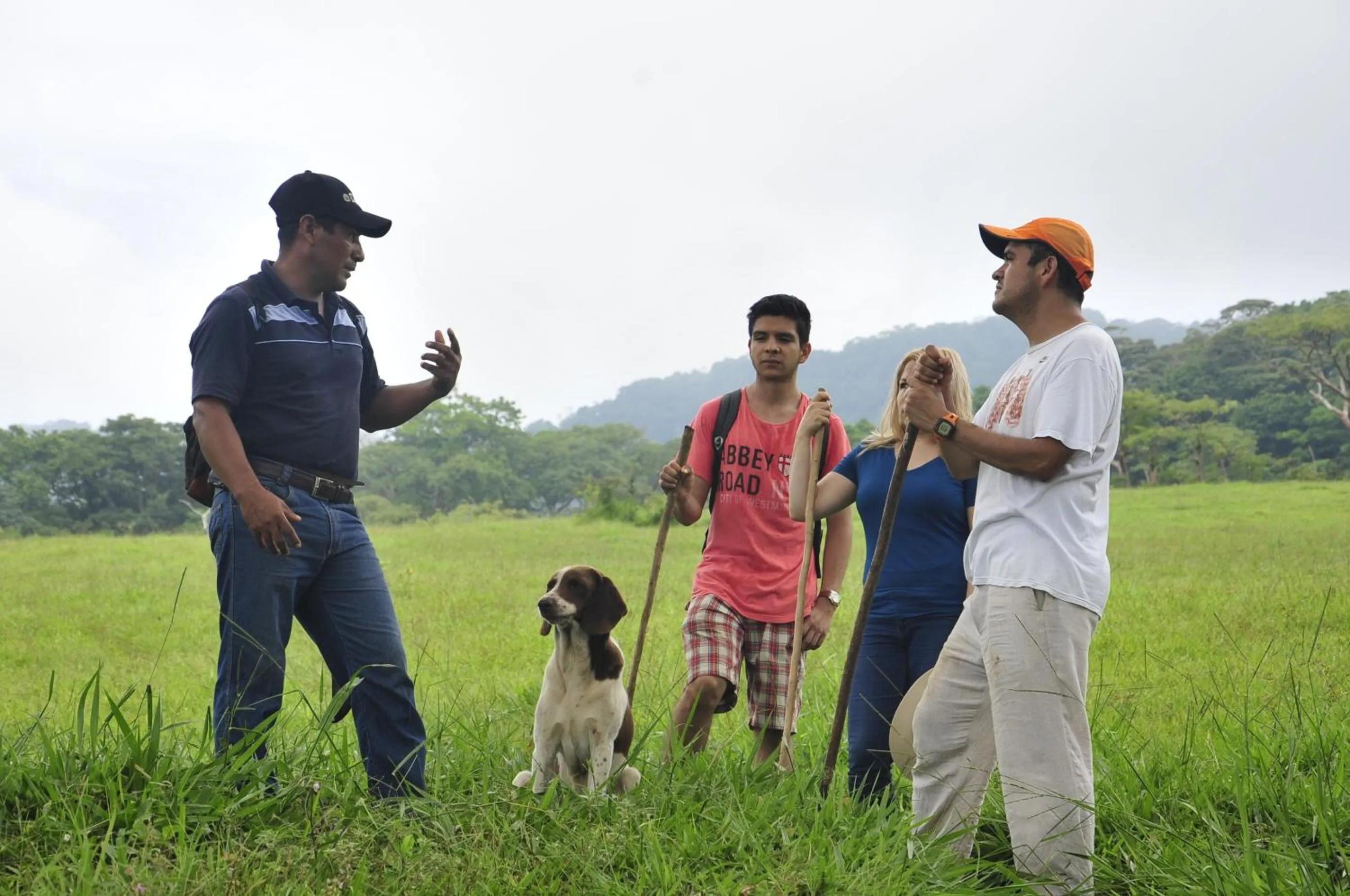 Cabañas Ecobiosfera