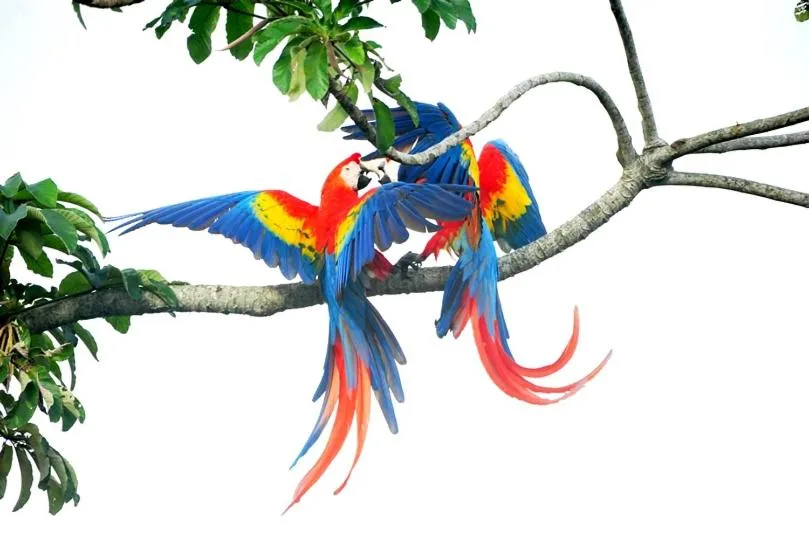 Cabañas Ecobiosfera