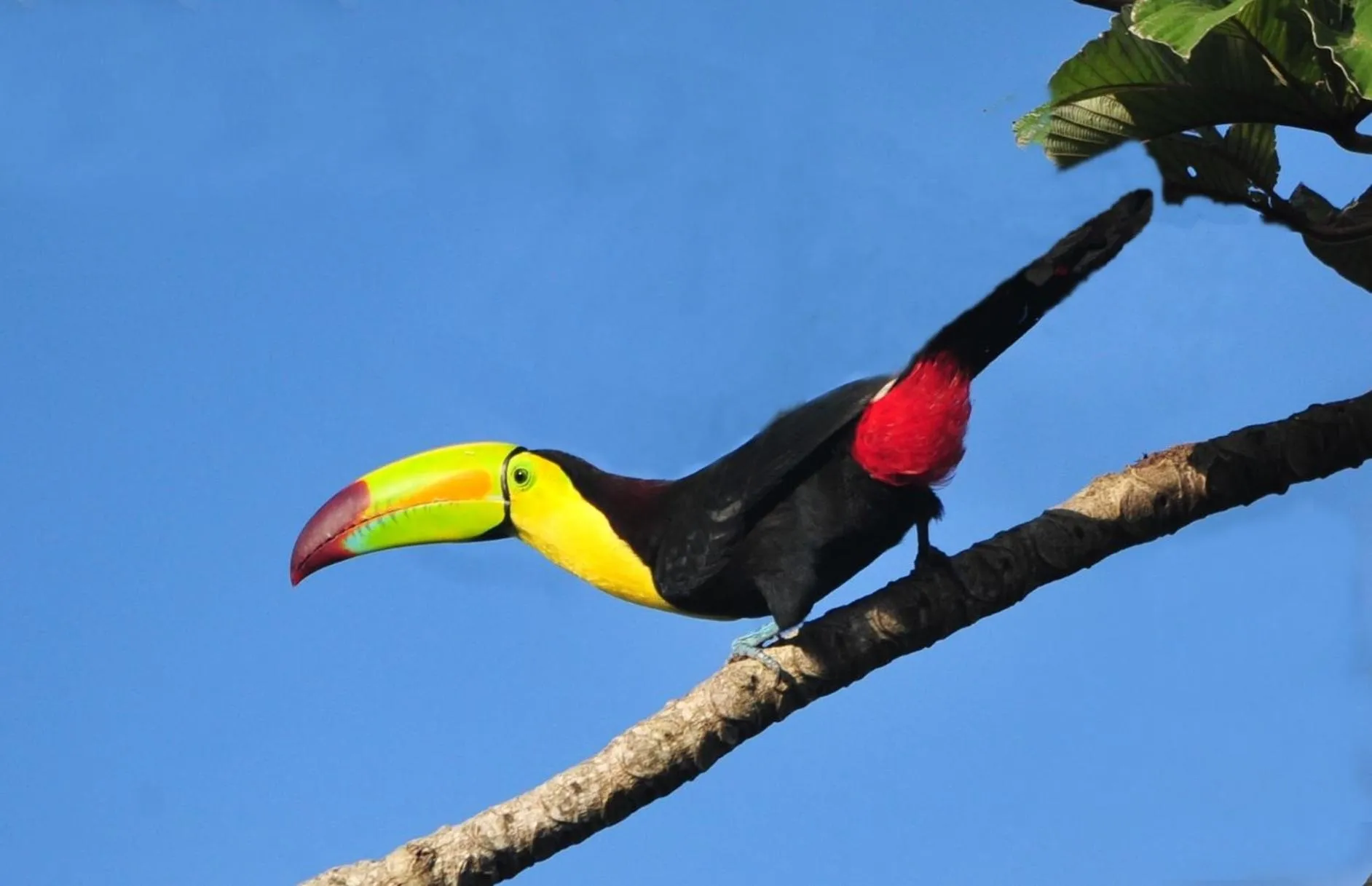 Cabañas Ecobiosfera