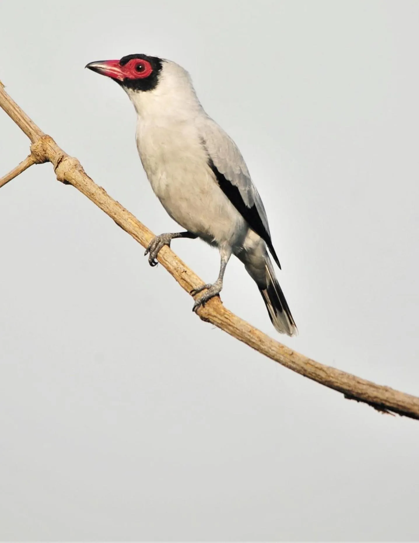 Cabañas Ecobiosfera