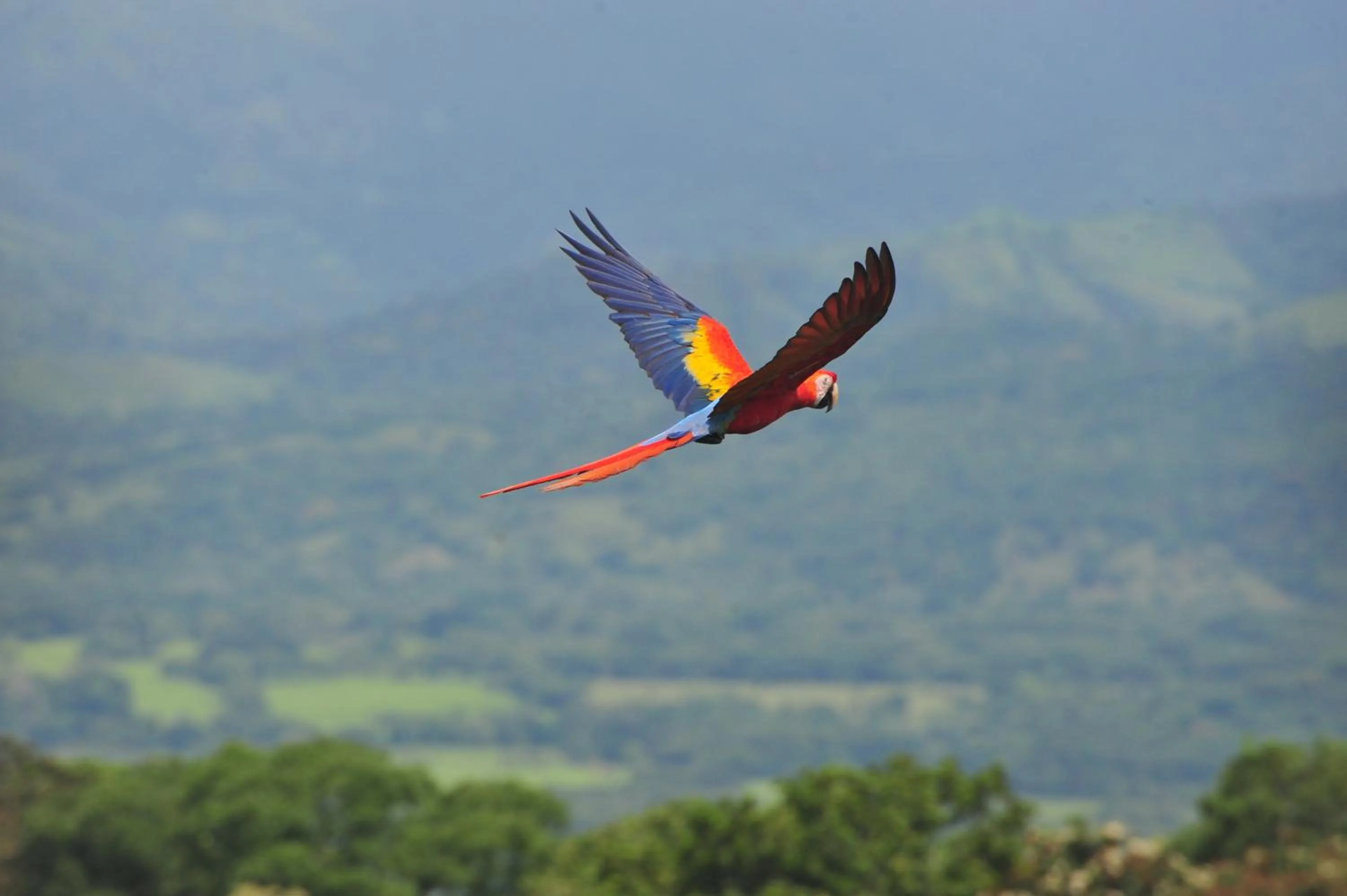 Cabañas Ecobiosfera