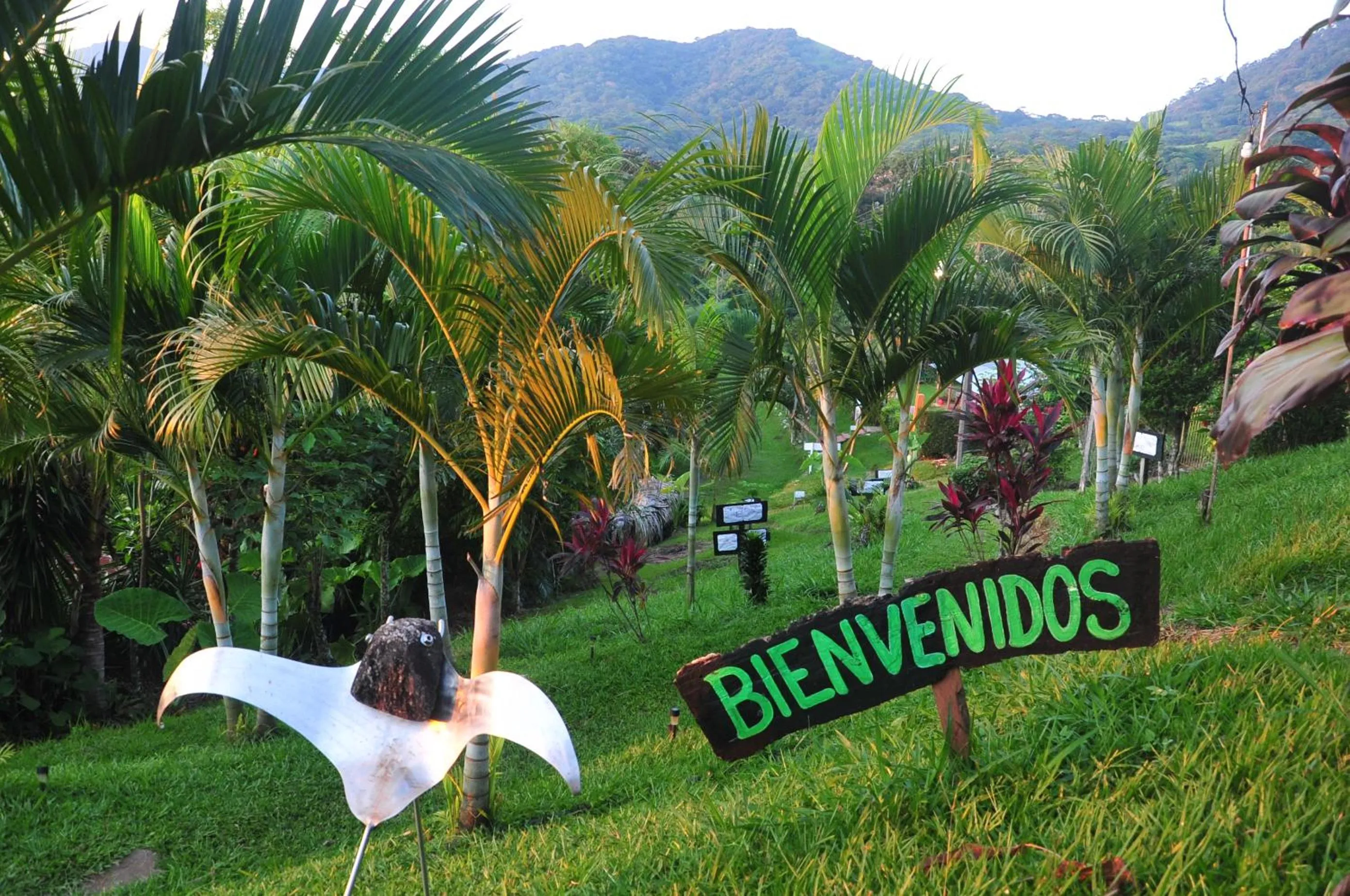 Cabañas Ecobiosfera
