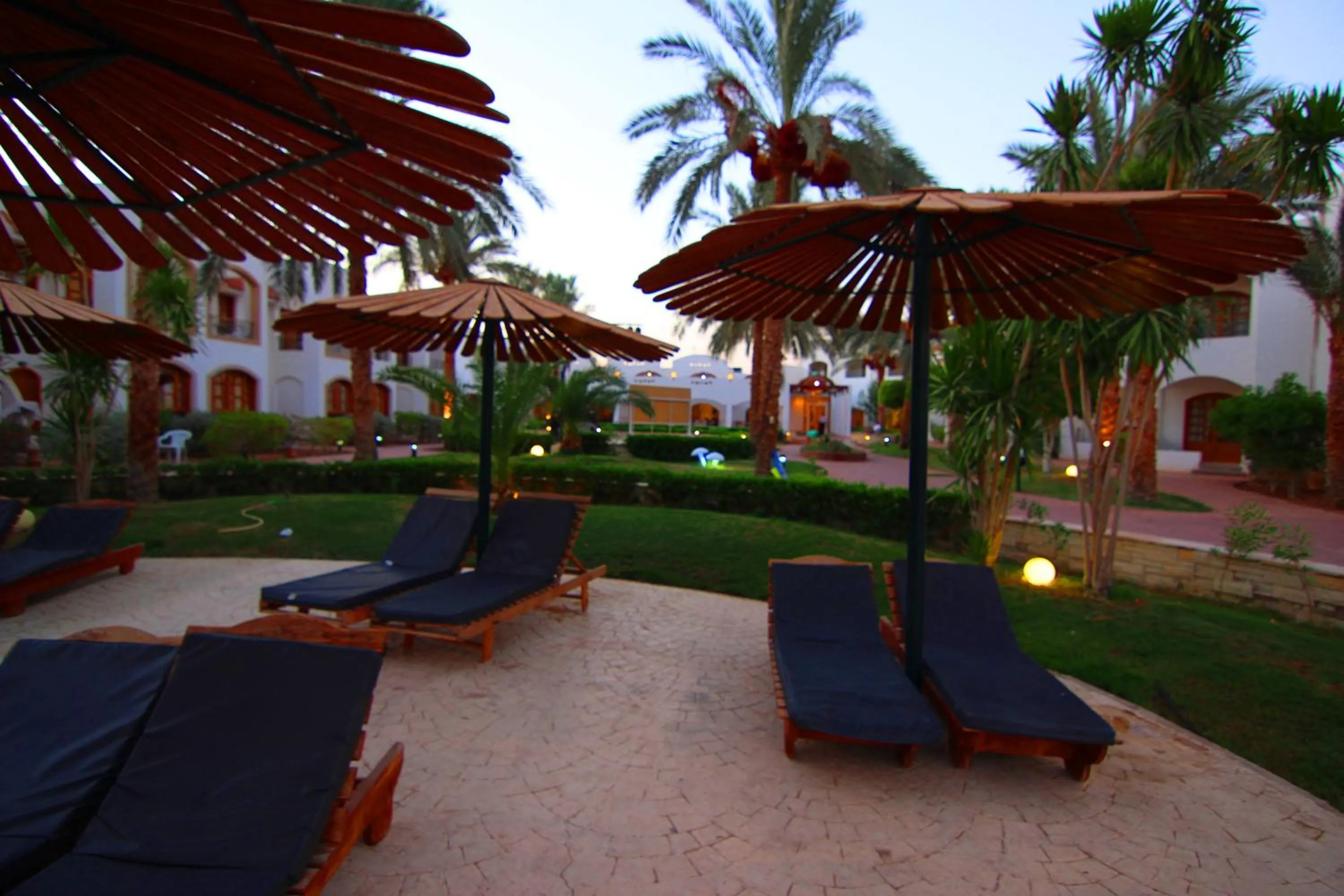 Natural landscape in Coral Hills Resort Sharm El-Sheikh
