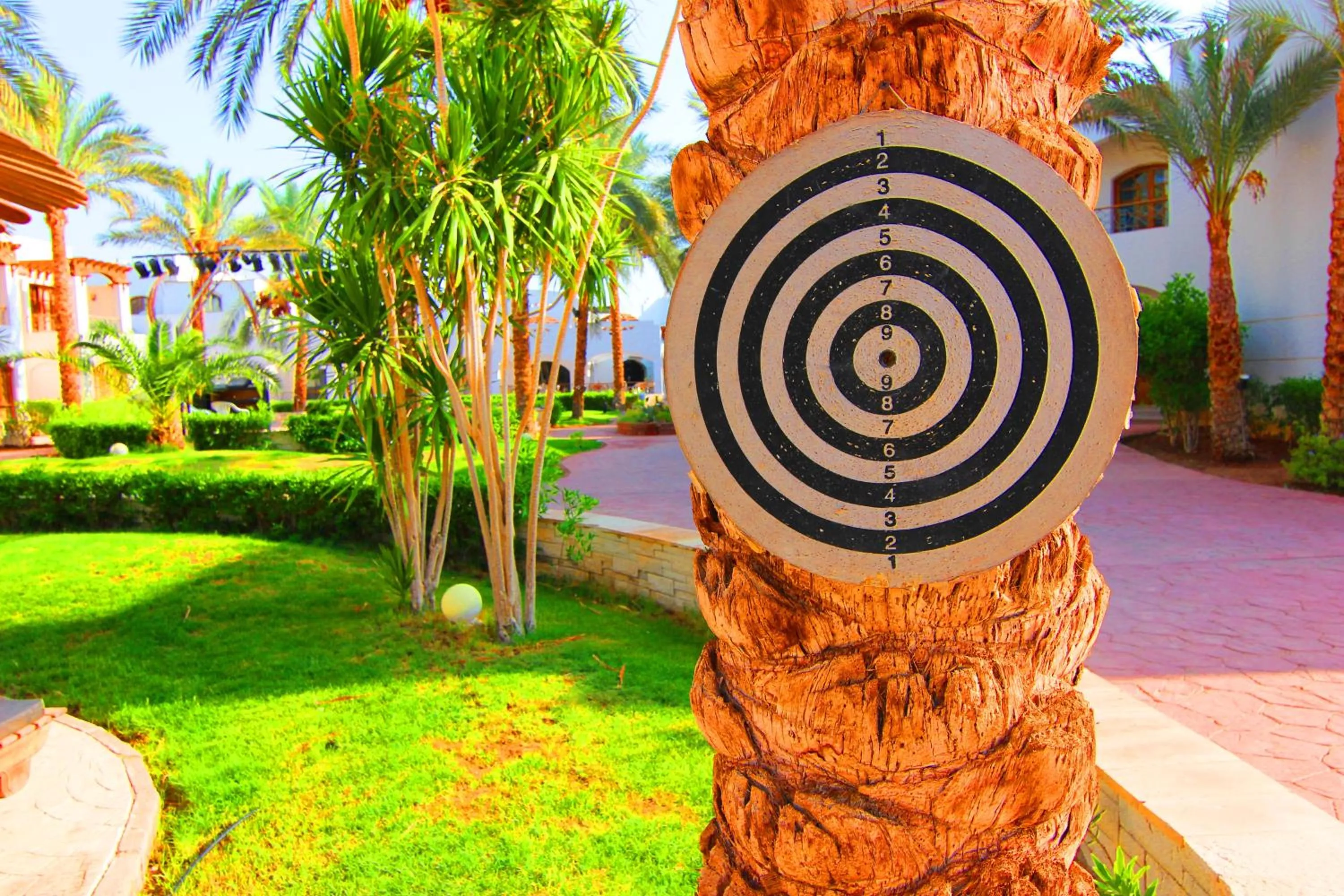 Activities in Coral Hills Resort Sharm El-Sheikh
