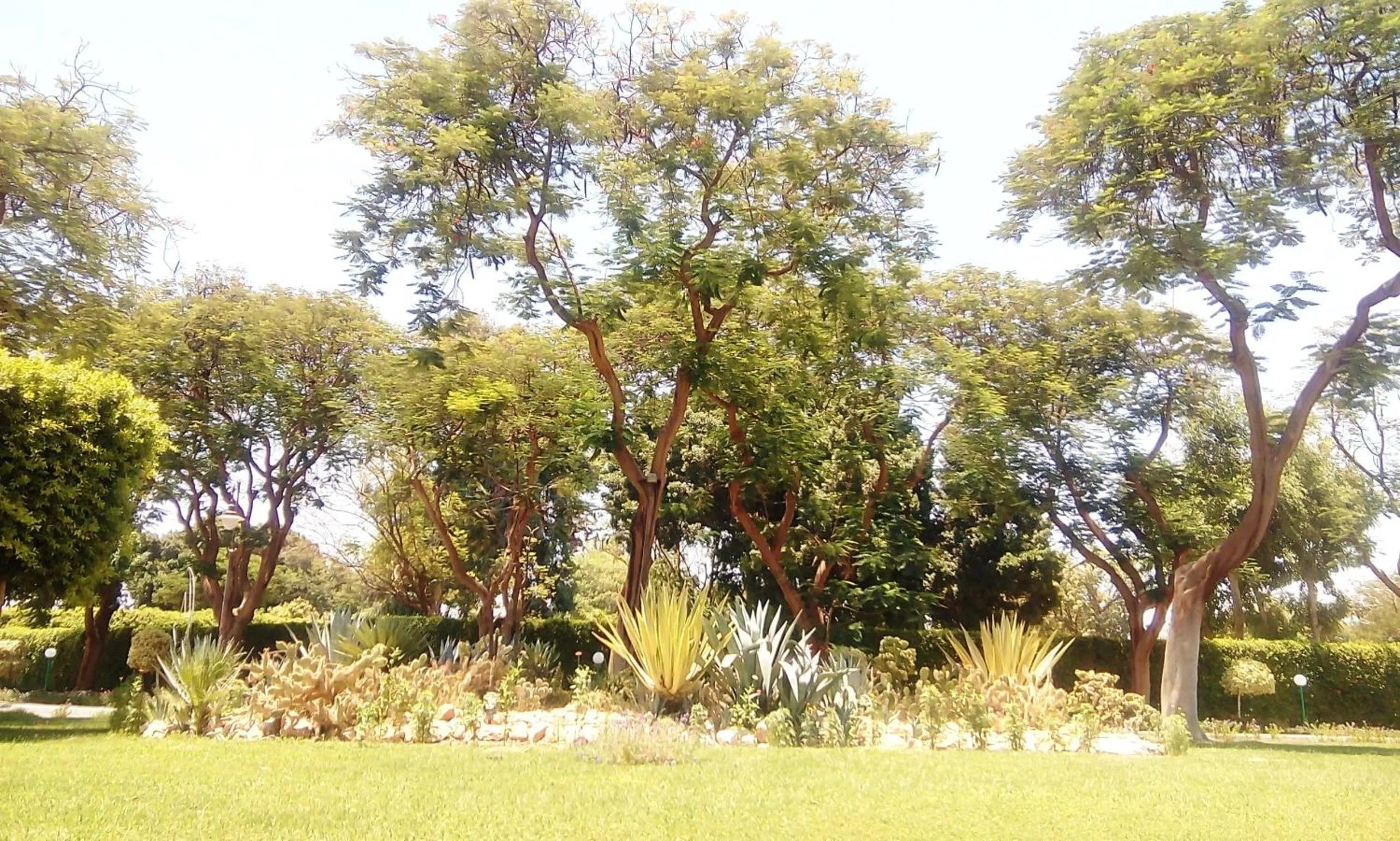 Garden in Jolie Ville Hotel & Spa Kings Island Luxor