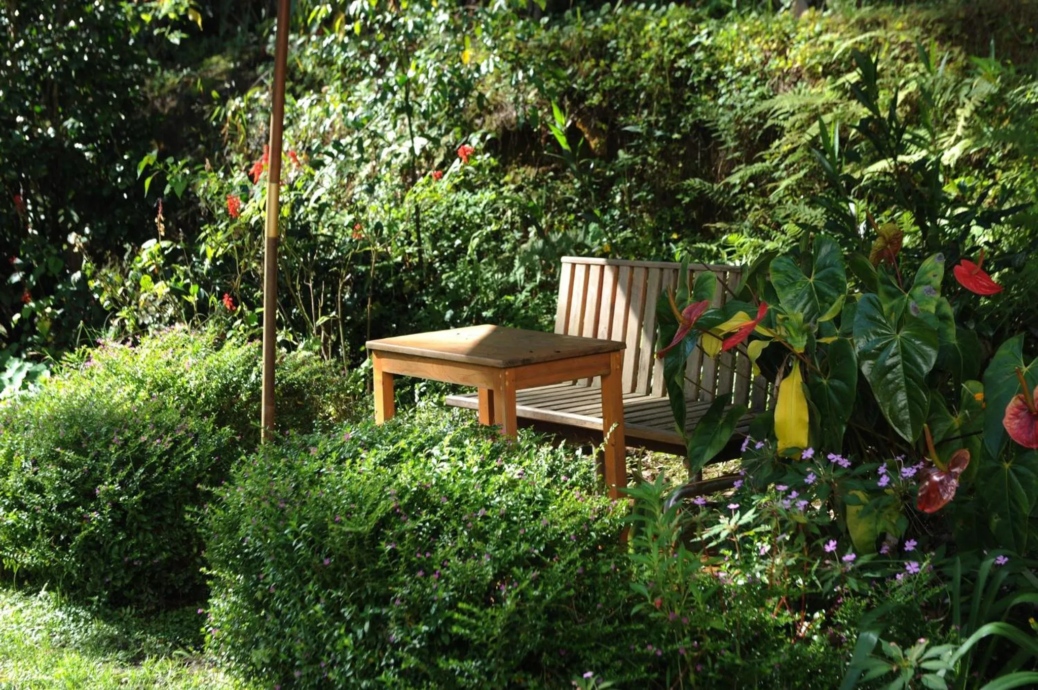 Stop and Go Boutique Hotel