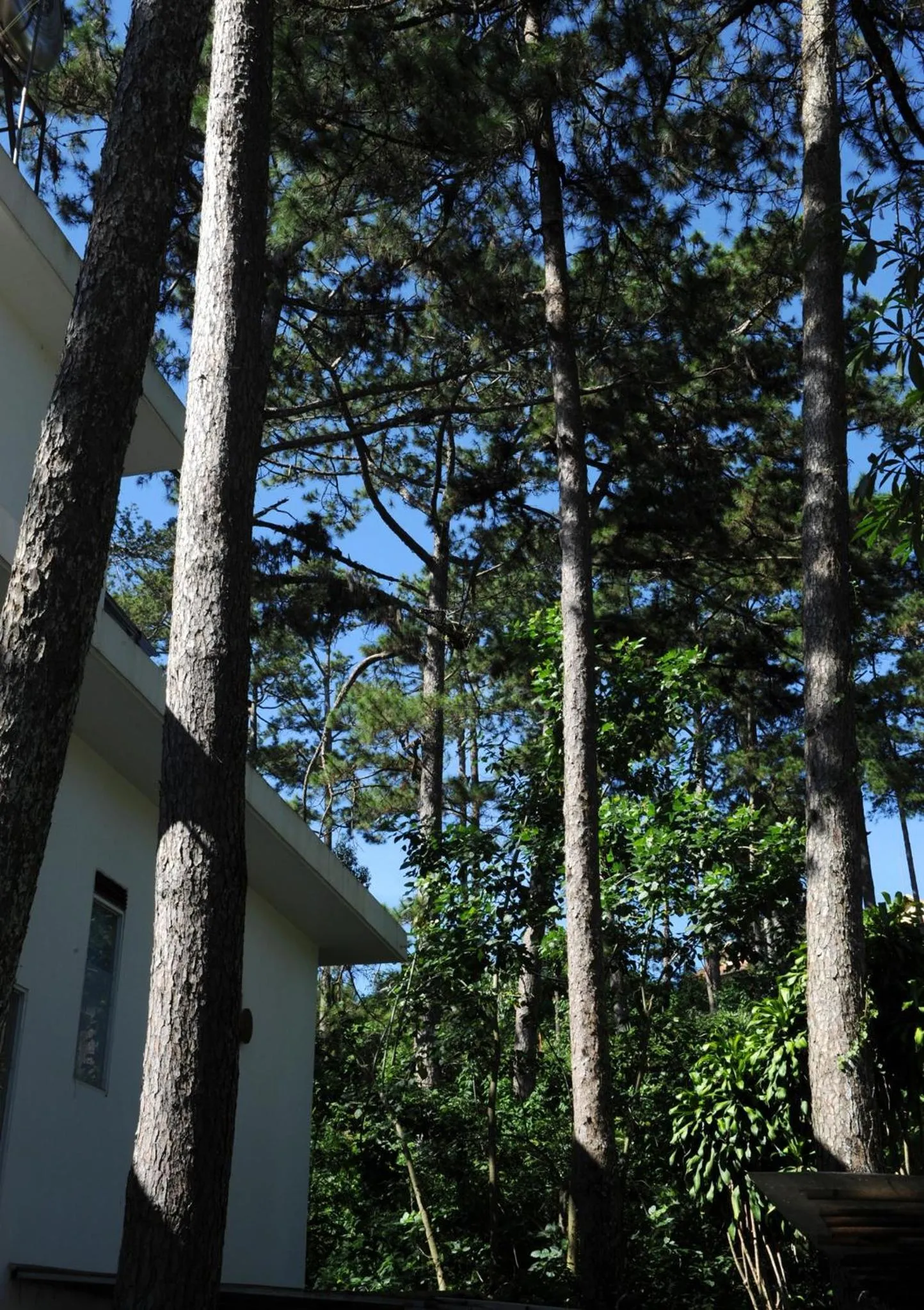 Stop and Go Boutique Hotel