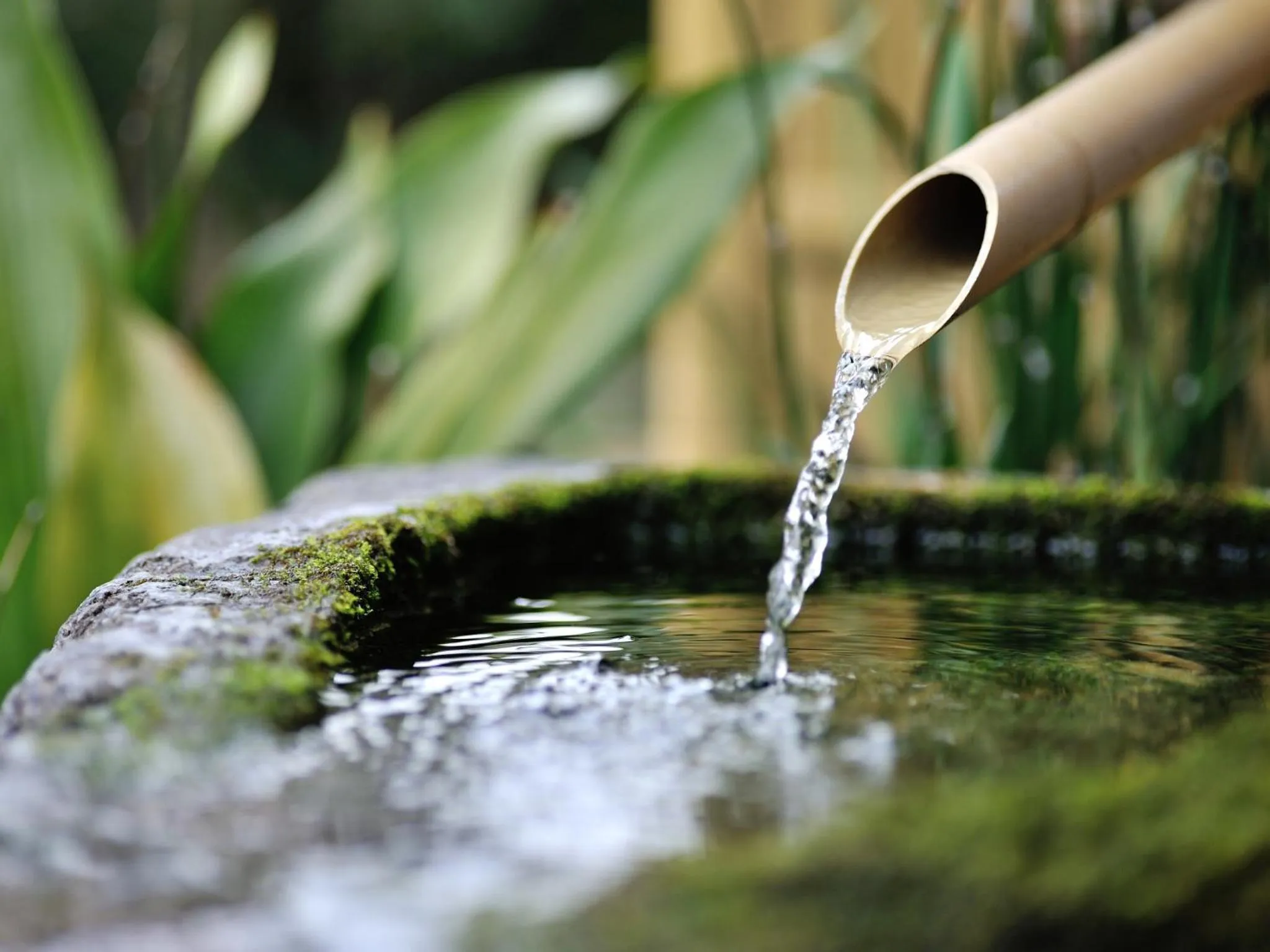 Ryokan Ginkaku Kyoto
