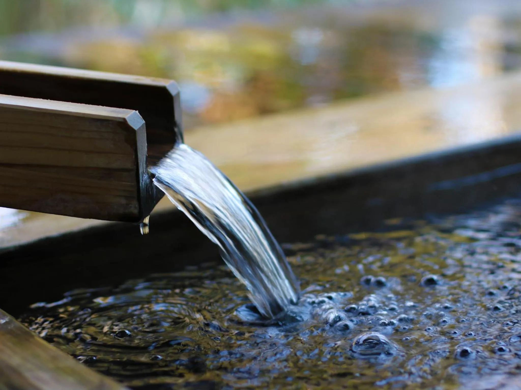 Ryokan Ginkaku Kyoto