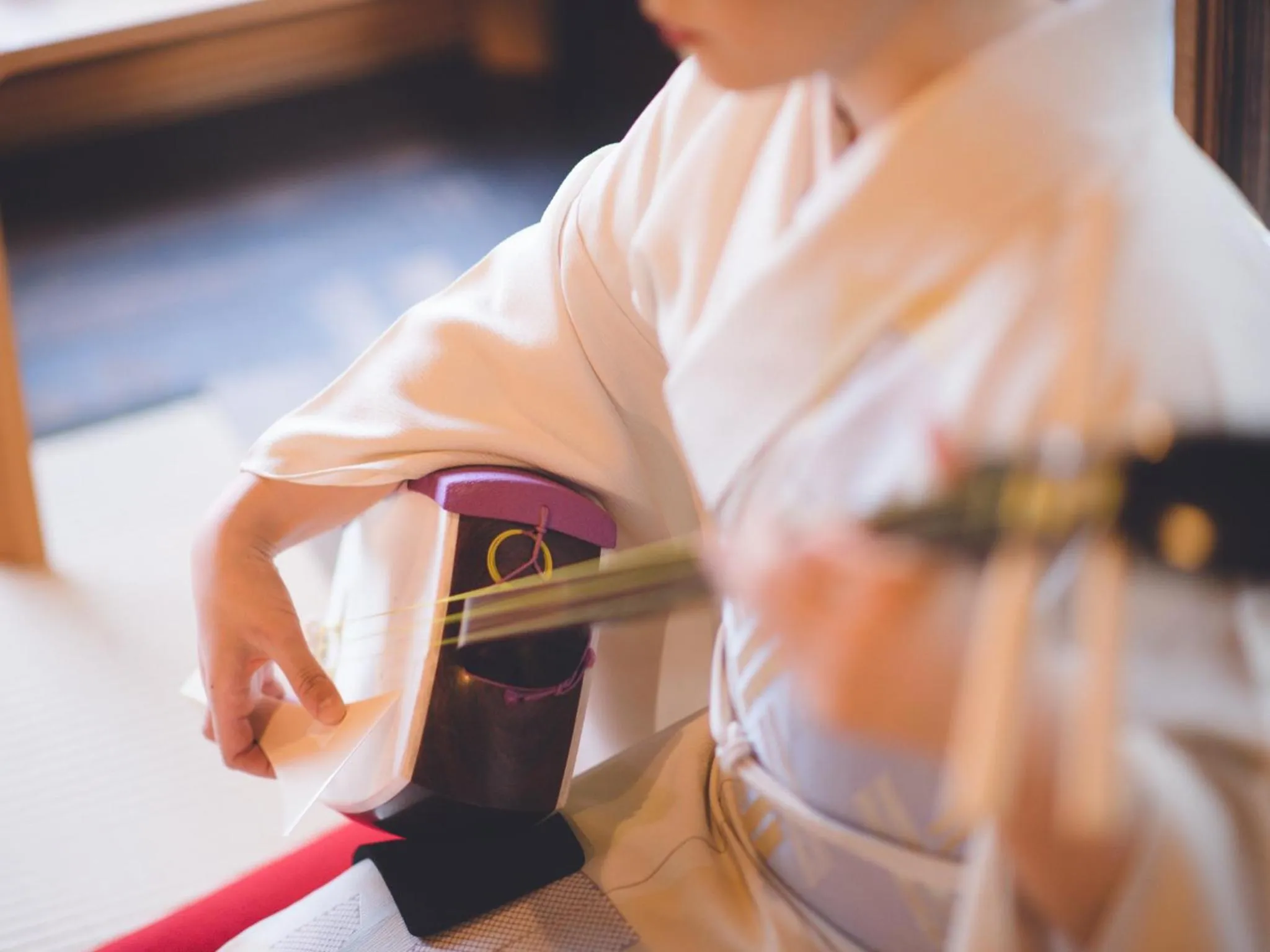 Ryokan Ginkaku Kyoto