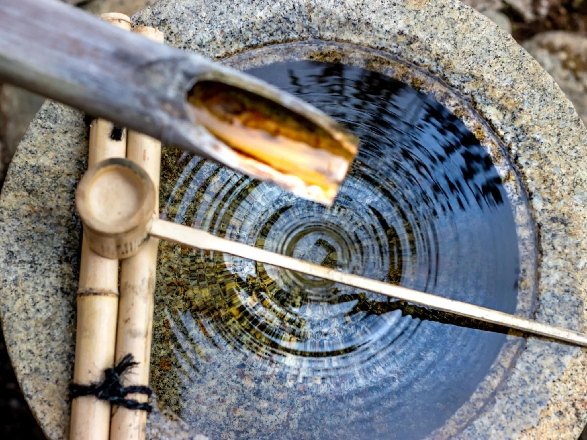 Ryokan Ginkaku Kyoto