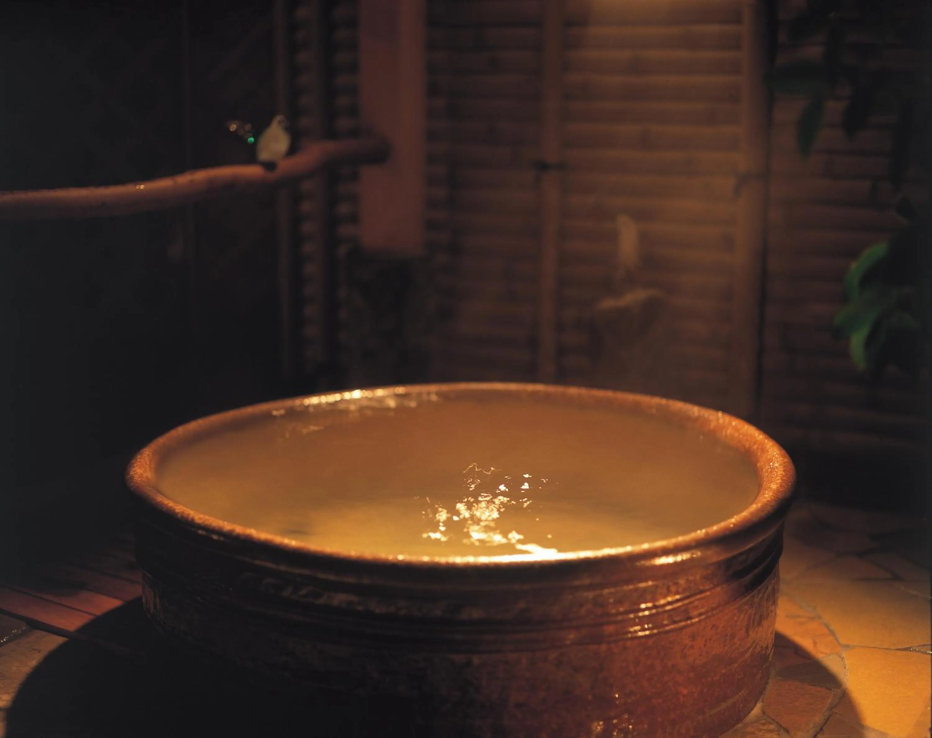 Hot Spring Bath in Atagawa Prince Hotel
