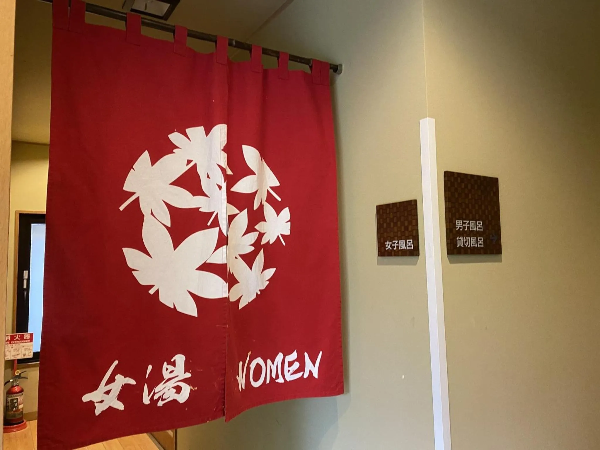 Hot Spring Bath in Hakone Kowakien Miyamafurin