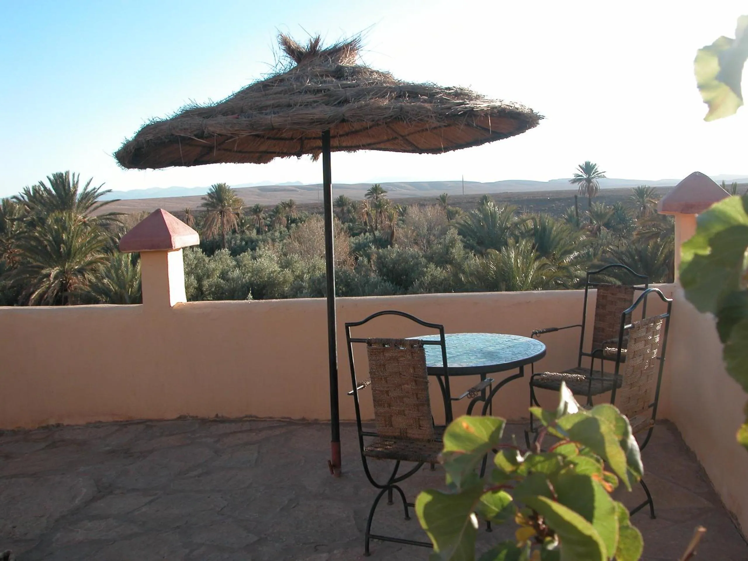 Garden view in Kasbah Petit Nomade