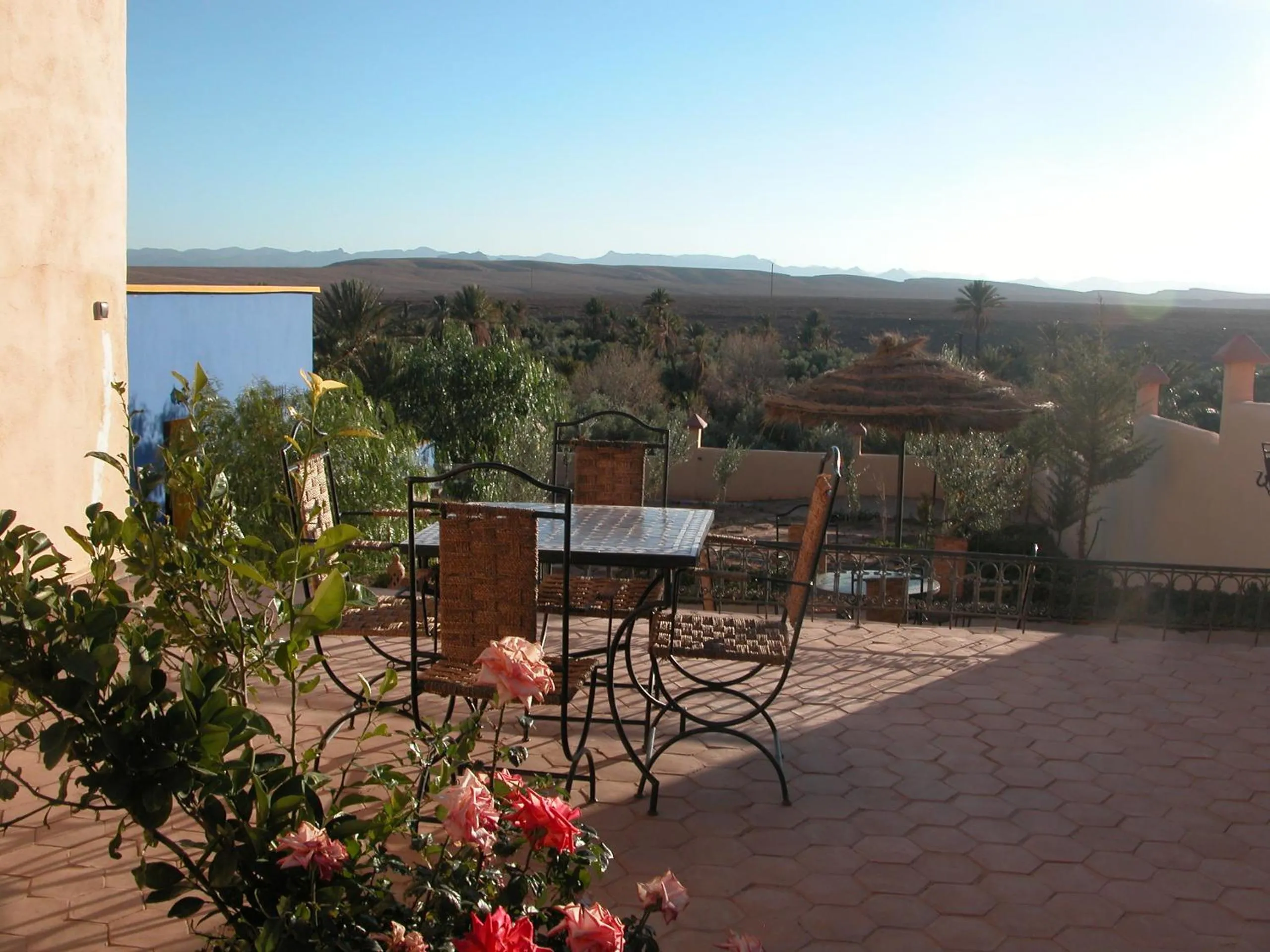 Garden in Kasbah Petit Nomade