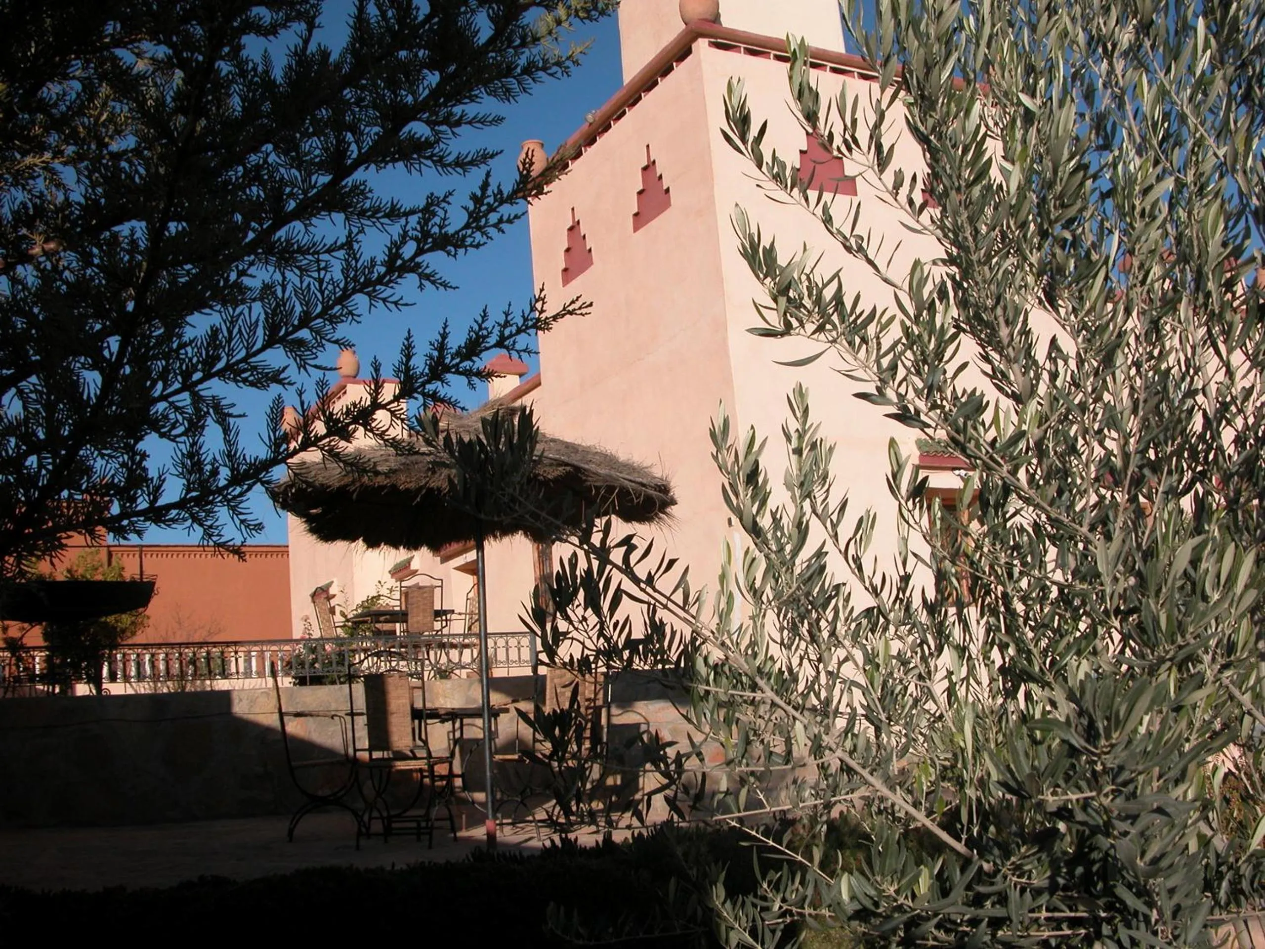 Garden view in Kasbah Petit Nomade
