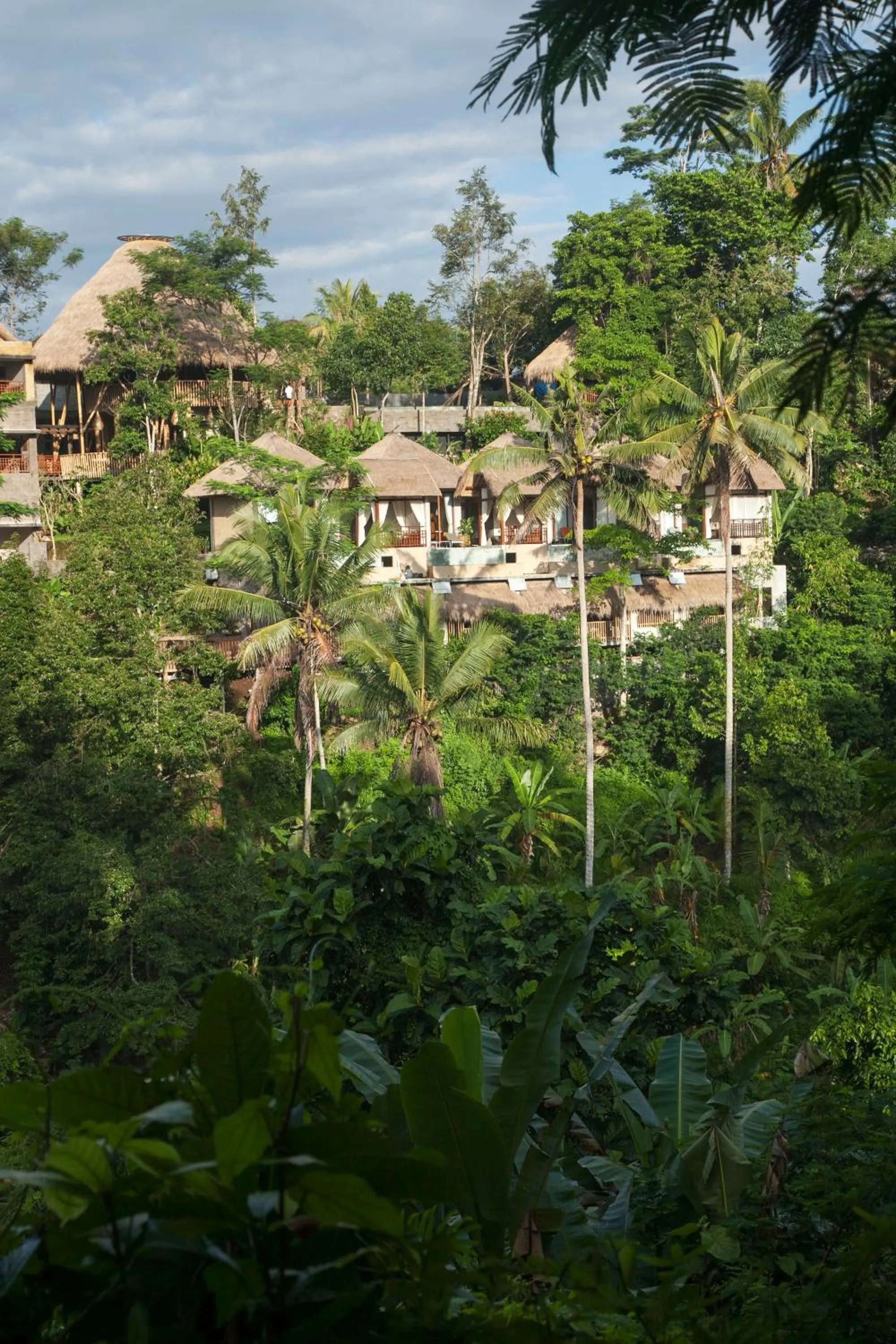 View (from property/room) in Tejaprana Resort & Spa