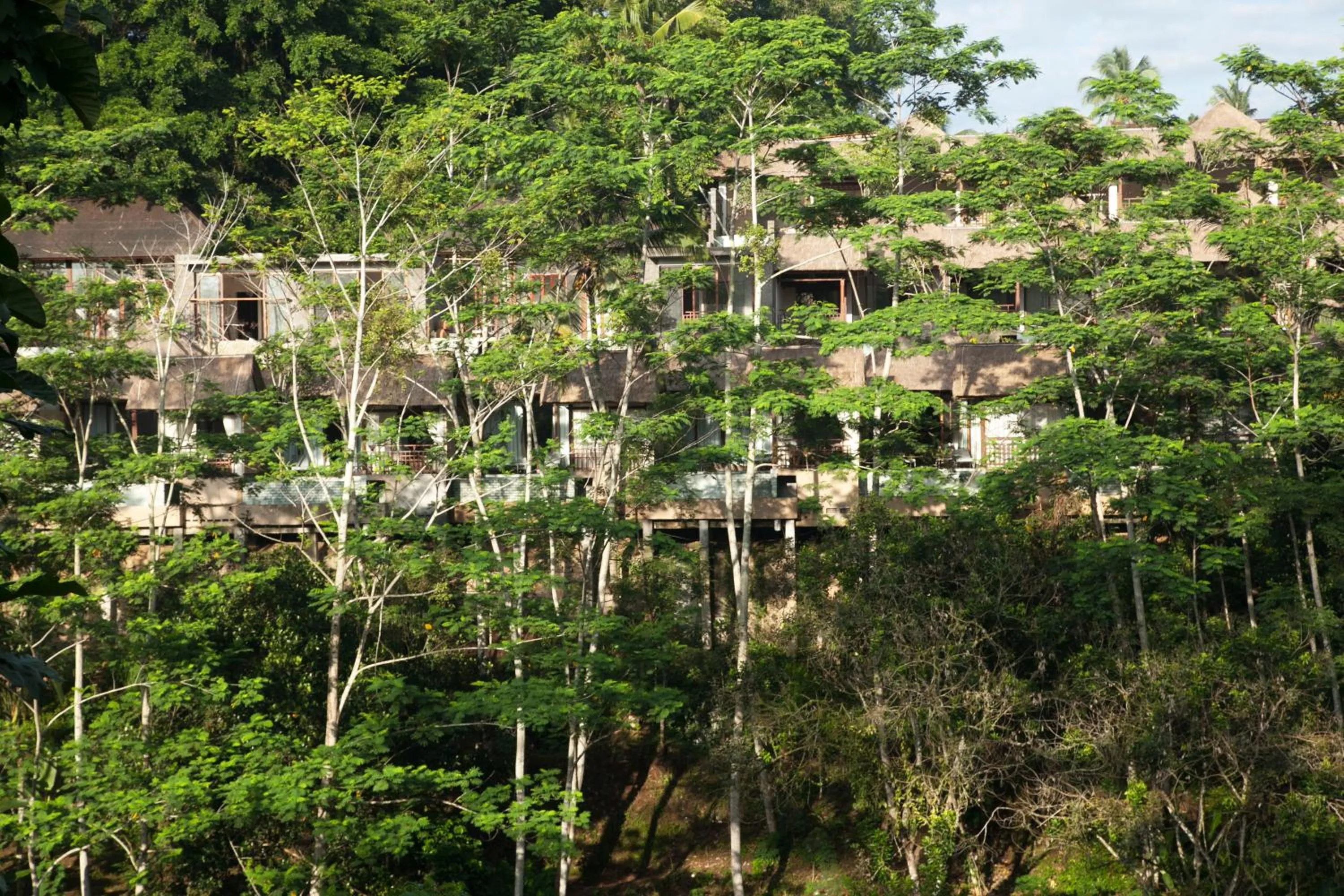 View (from property/room) in Tejaprana Resort & Spa